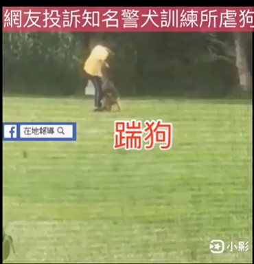 知名警犬訓練所遭民眾爆料虐狗。（翻攝邵柏虎臉書）