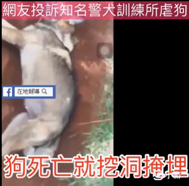訓練犬死亡後遭就地掩埋。(翻攝邵柏虎臉書)