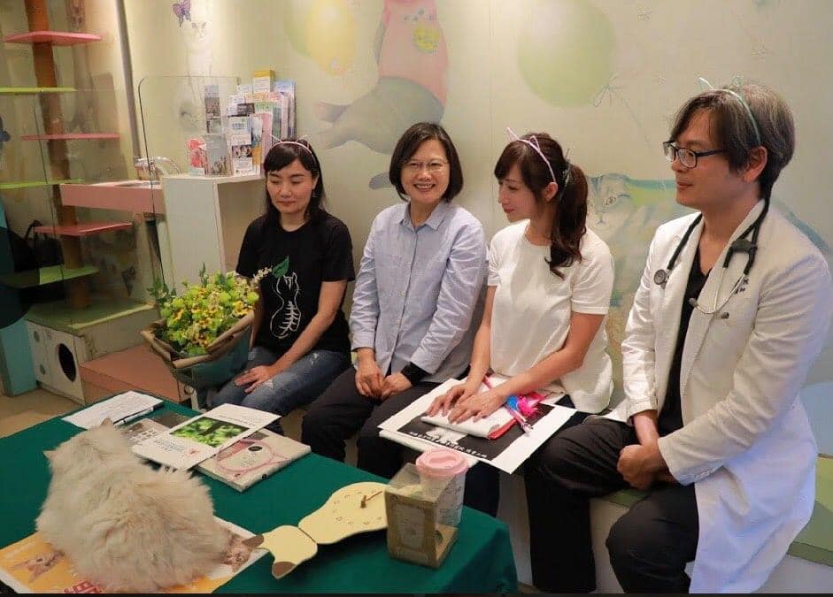 蔡英文、立委許淑華及獸醫日前開直播大談養貓經，卻引來韓粉惡意抹黑。（翻攝自許淑華臉書）