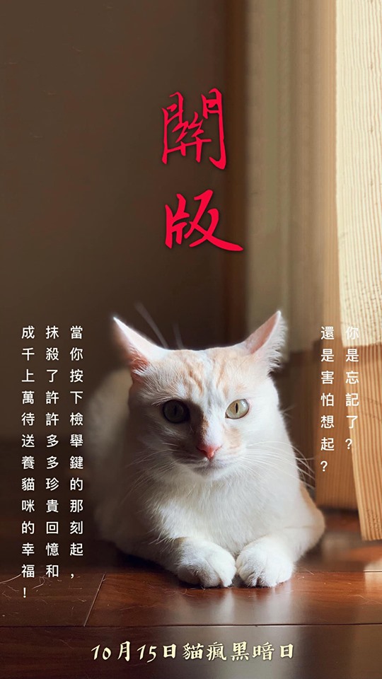 粉絲團遭眾多韓粉檢舉而遭下架，不少貓奴粉絲大為不滿。（翻攝自臉書）