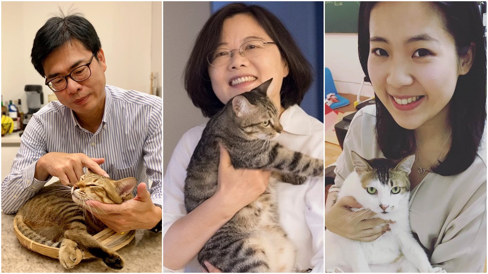 不少政治人物也是貓奴，包含陳其邁、蔡英文、徐巧芯等。（合成圖，翻攝自蔡英文、陳其邁、徐巧芯臉書）