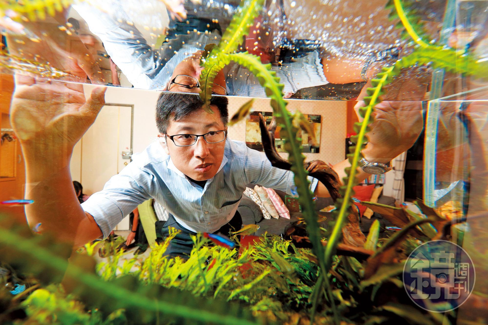 看著優遊自在的小魚,股魚投資不盯盤,輕鬆、簡單一樣賺。