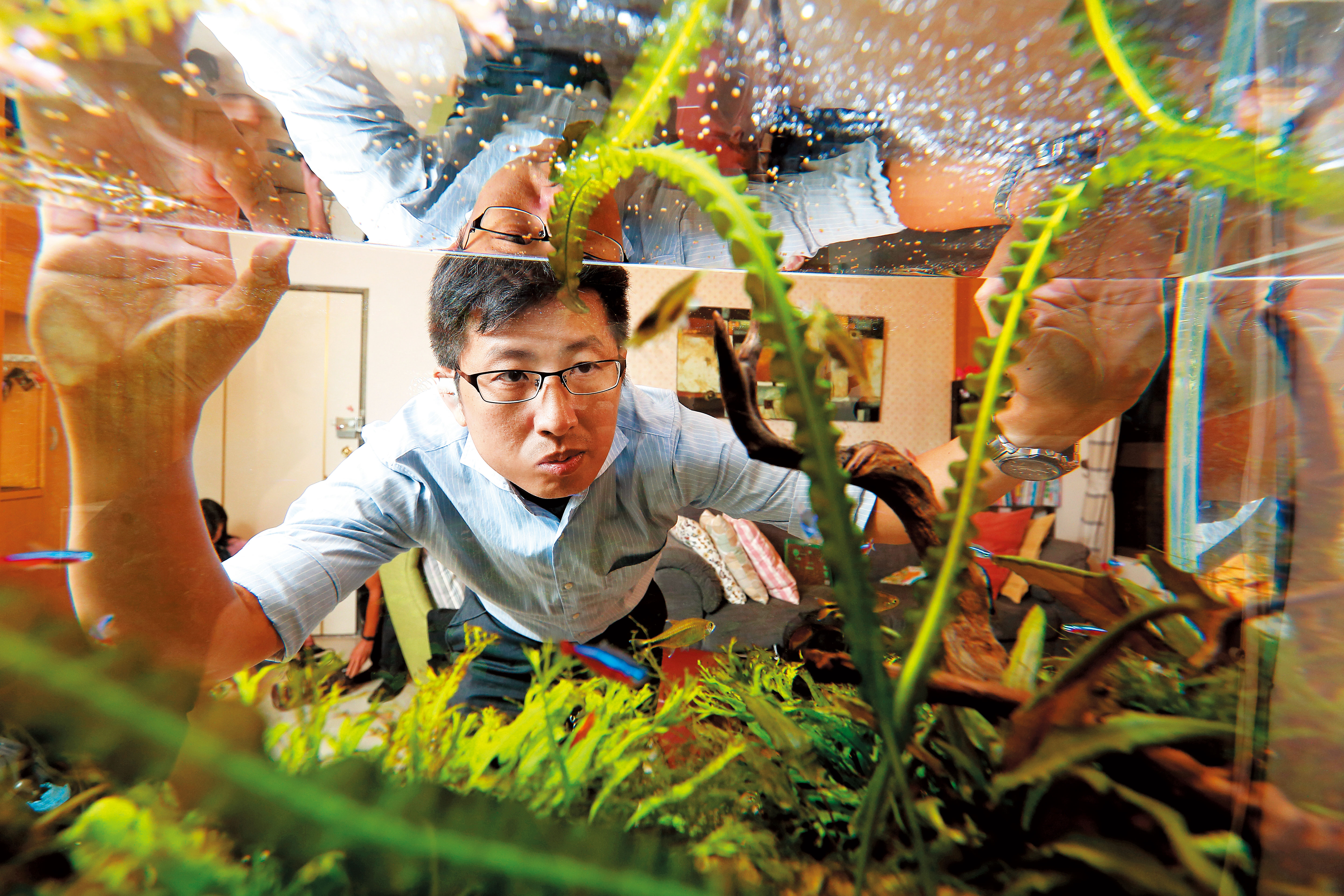 看著優遊自在的小魚，股魚投資不盯盤，輕鬆、簡單一樣賺。