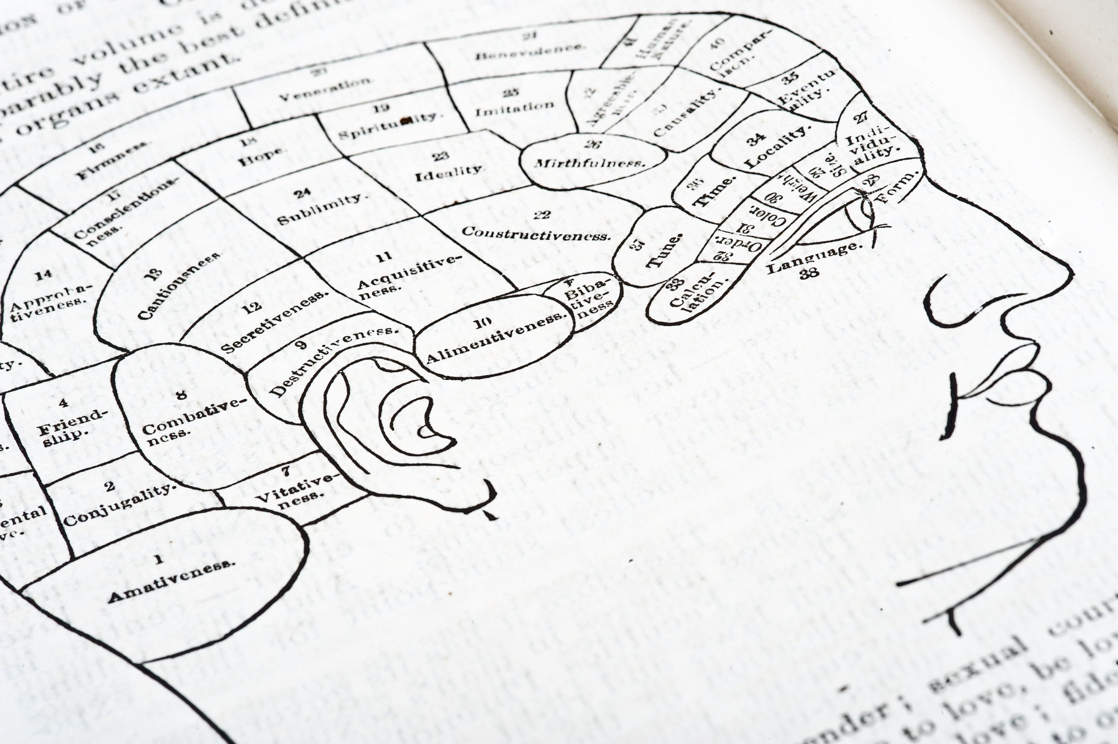 【大腦S01E02】偽科學居然促進了大腦科學的研究──腦科學的歷史緣起（二）