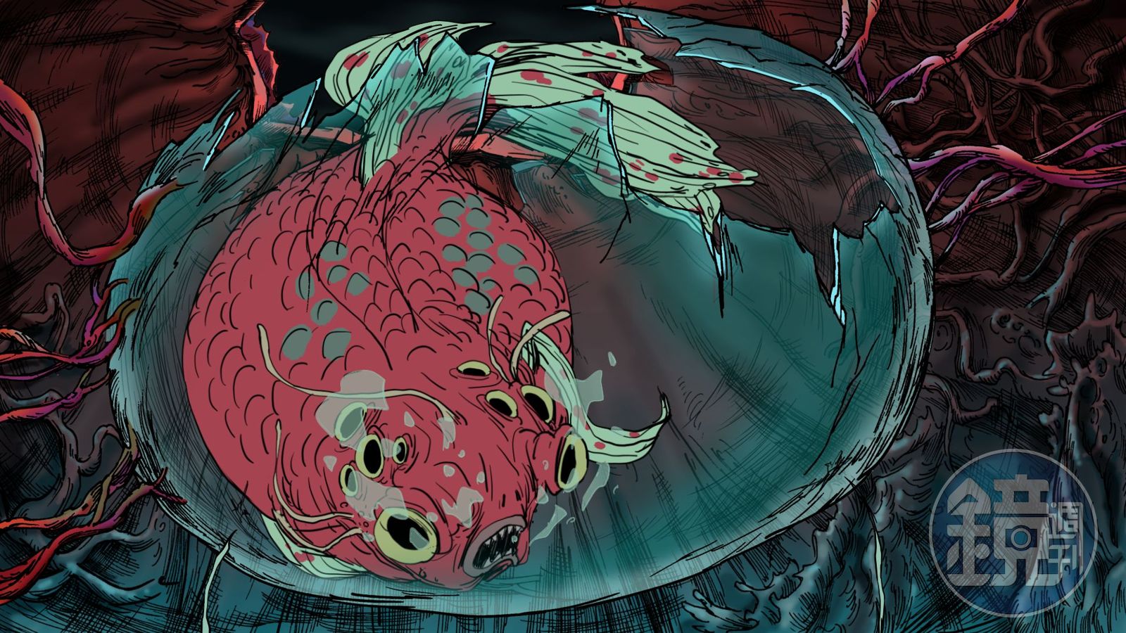 子涵 經典 記憶