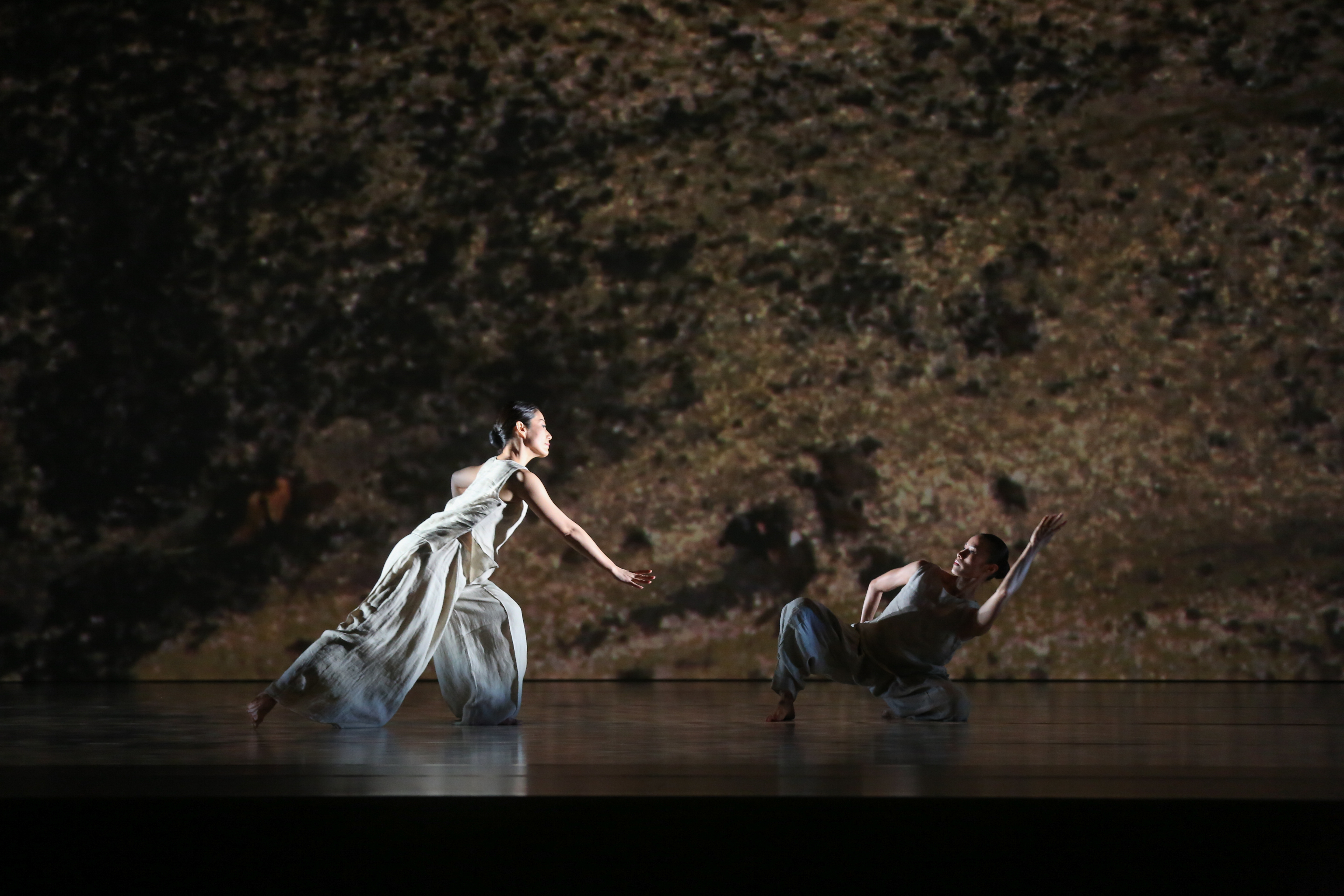 《秋水》是林懷民卸任前最新也最後的作品。