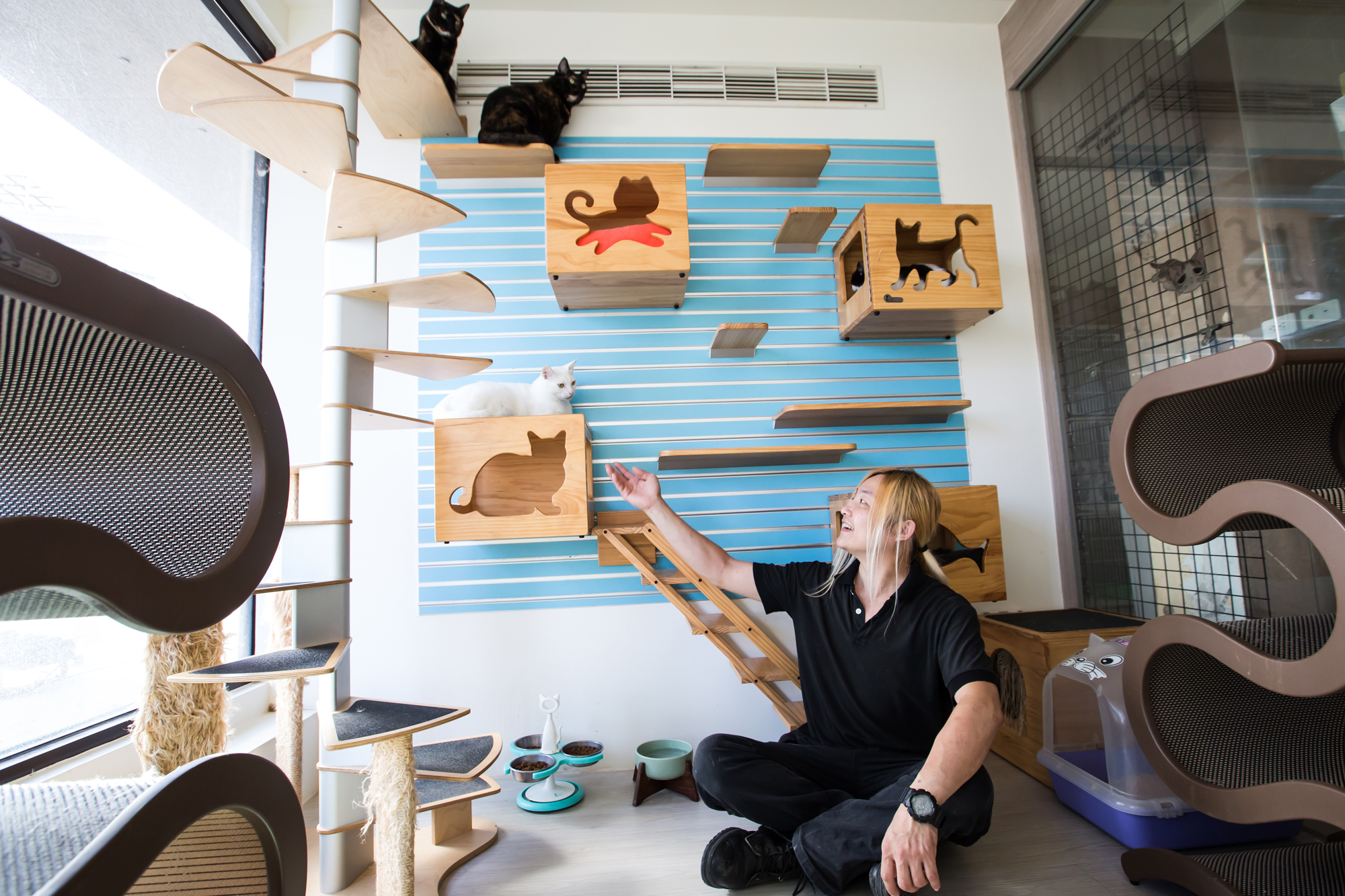 夏冠群常忘記人的臉和姓名，但不管是自家或是獸醫院的貓他都記得名字，也知道每隻貓的個性。