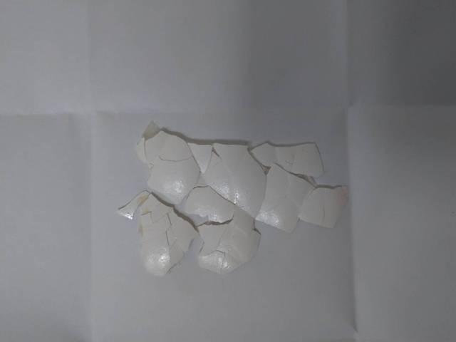 參加造勢大會民眾在現場撿拾到的雞蛋殼。（翻攝畫面）