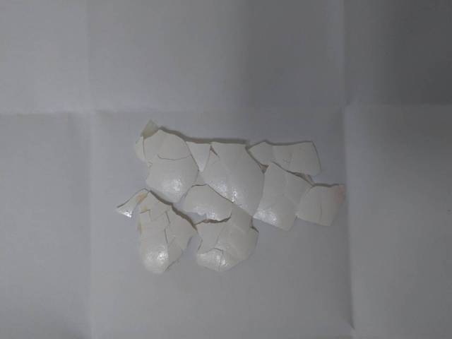 參加造勢大會民眾在現場撿拾到的雞蛋殼。（翻攝畫面）