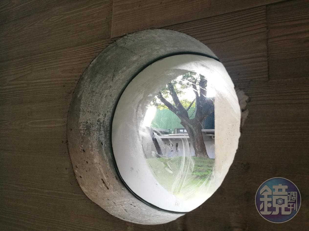 圓形窗景可見戶外綠樹。