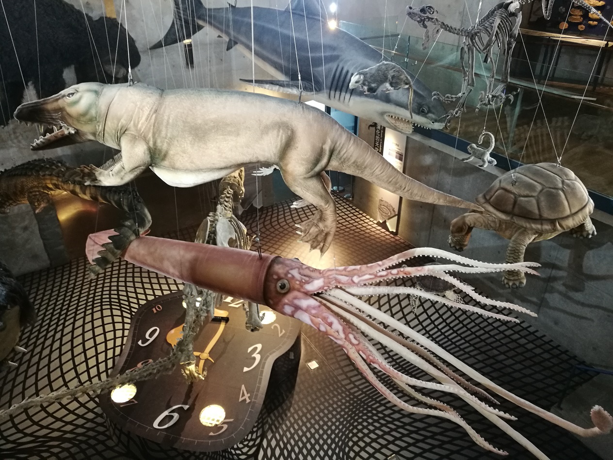 吊掛各式生物模型的「演化的天空」成為館內最具看頭的展示。