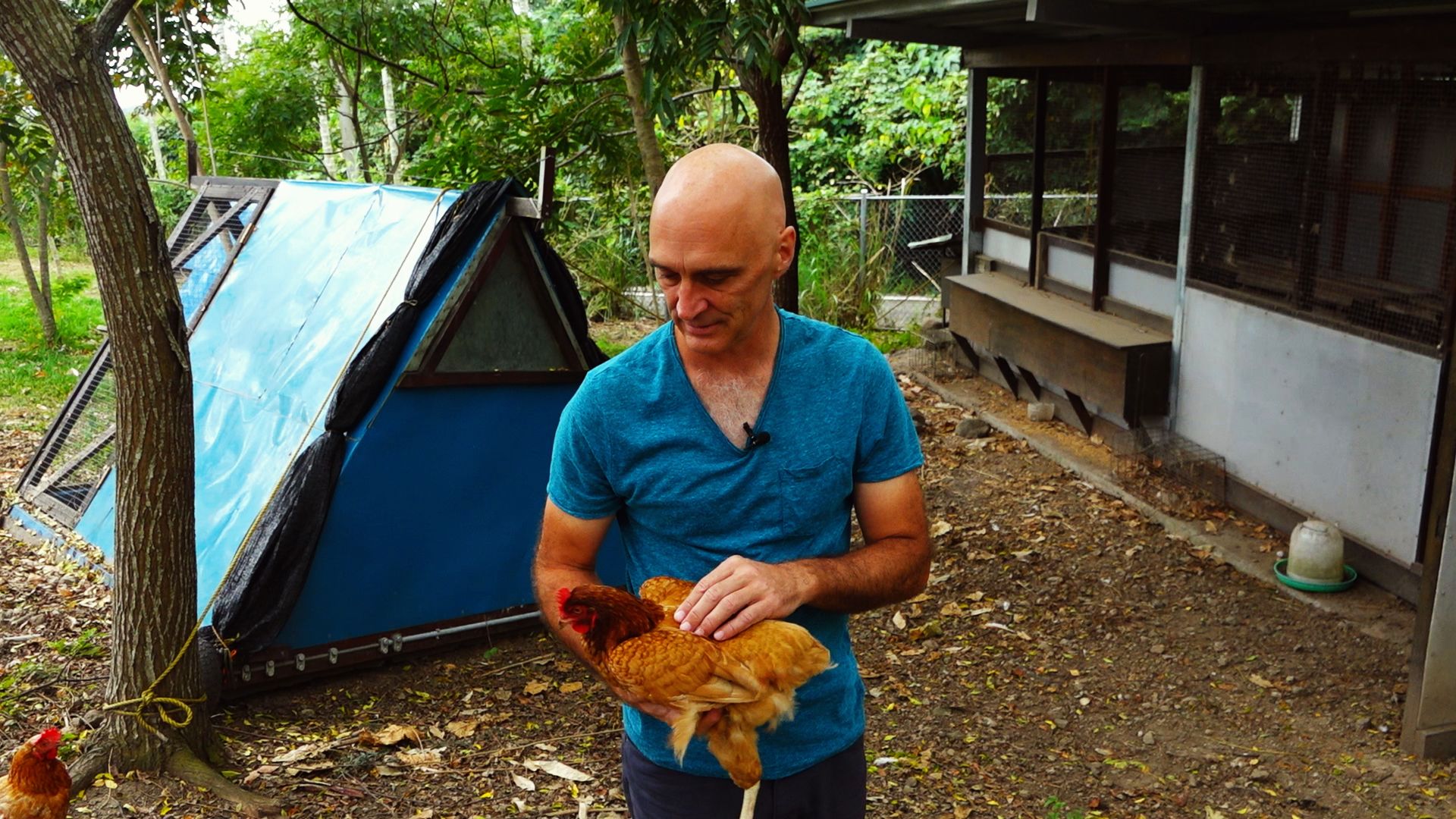 美國心理師貝雋文（Rob Bageant）和妻子林嘉郁都熱愛大自然，曾以帆船為家，如今兩人又冒了個險，移居台東，過著田園生活。