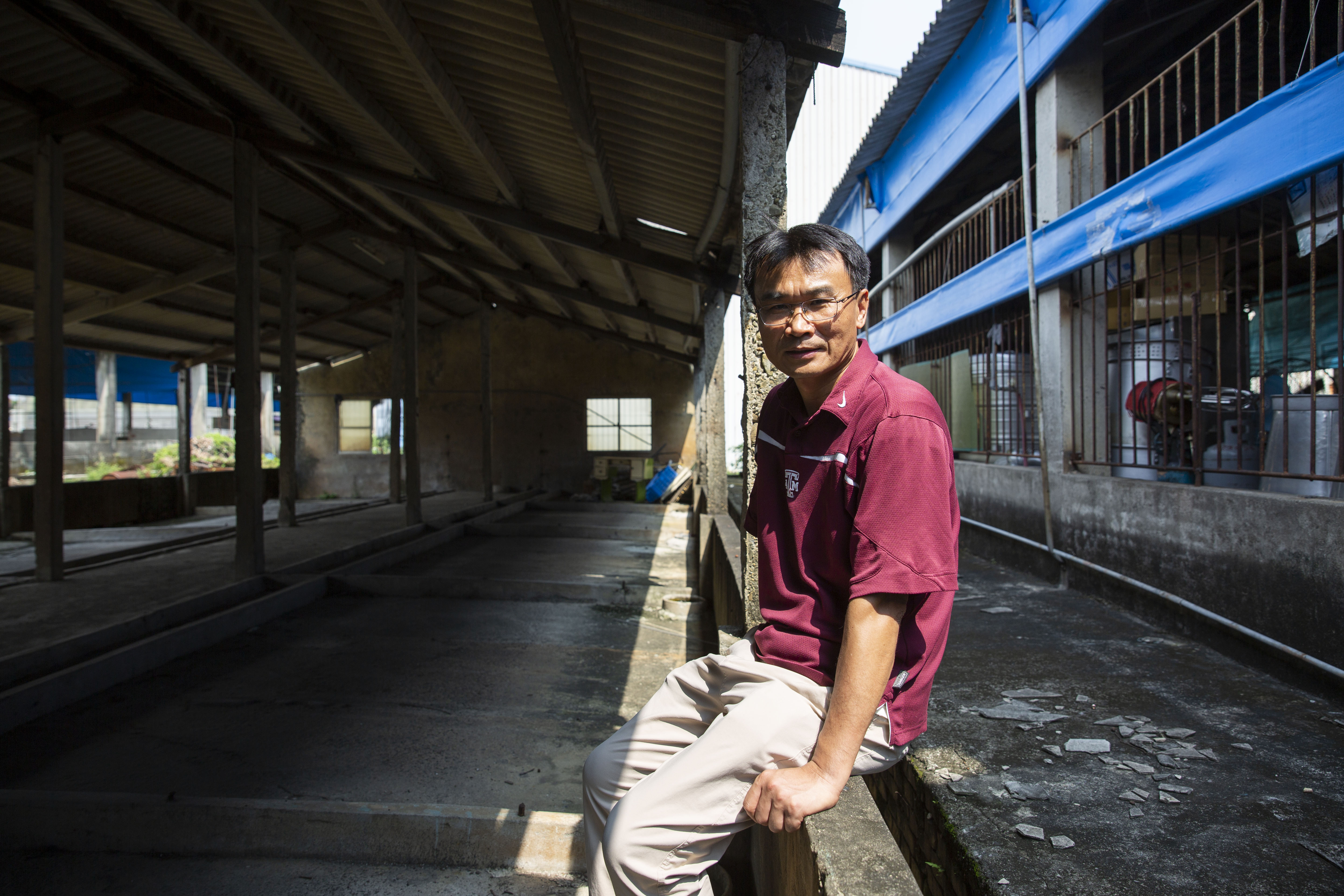 陳吉仲老家的豬舍，因口蹄疫爆發負債，荒廢至今。