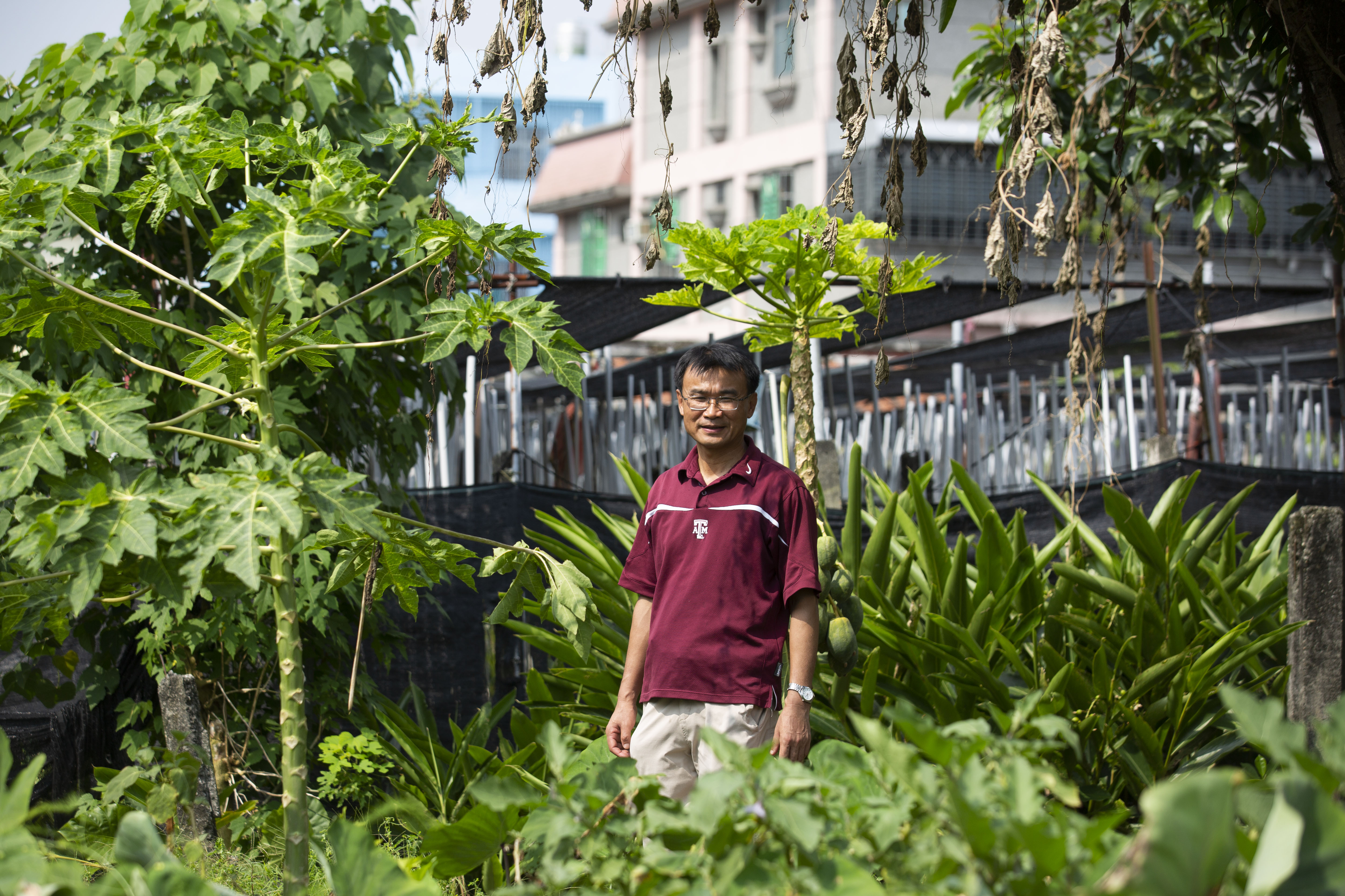農家子弟出身的陳吉仲，對於農民的困境能夠感同身受。
