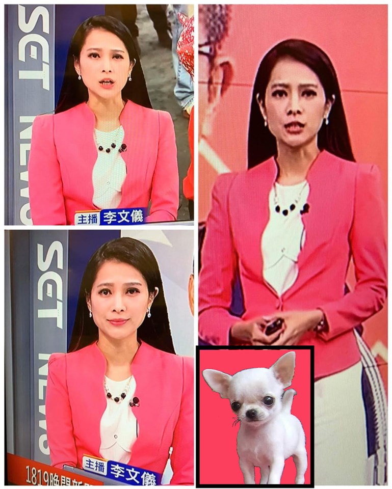 三立主播李文儀的衣服中就像有一隻吉娃娃，引起網友討論。（翻攝臉書）