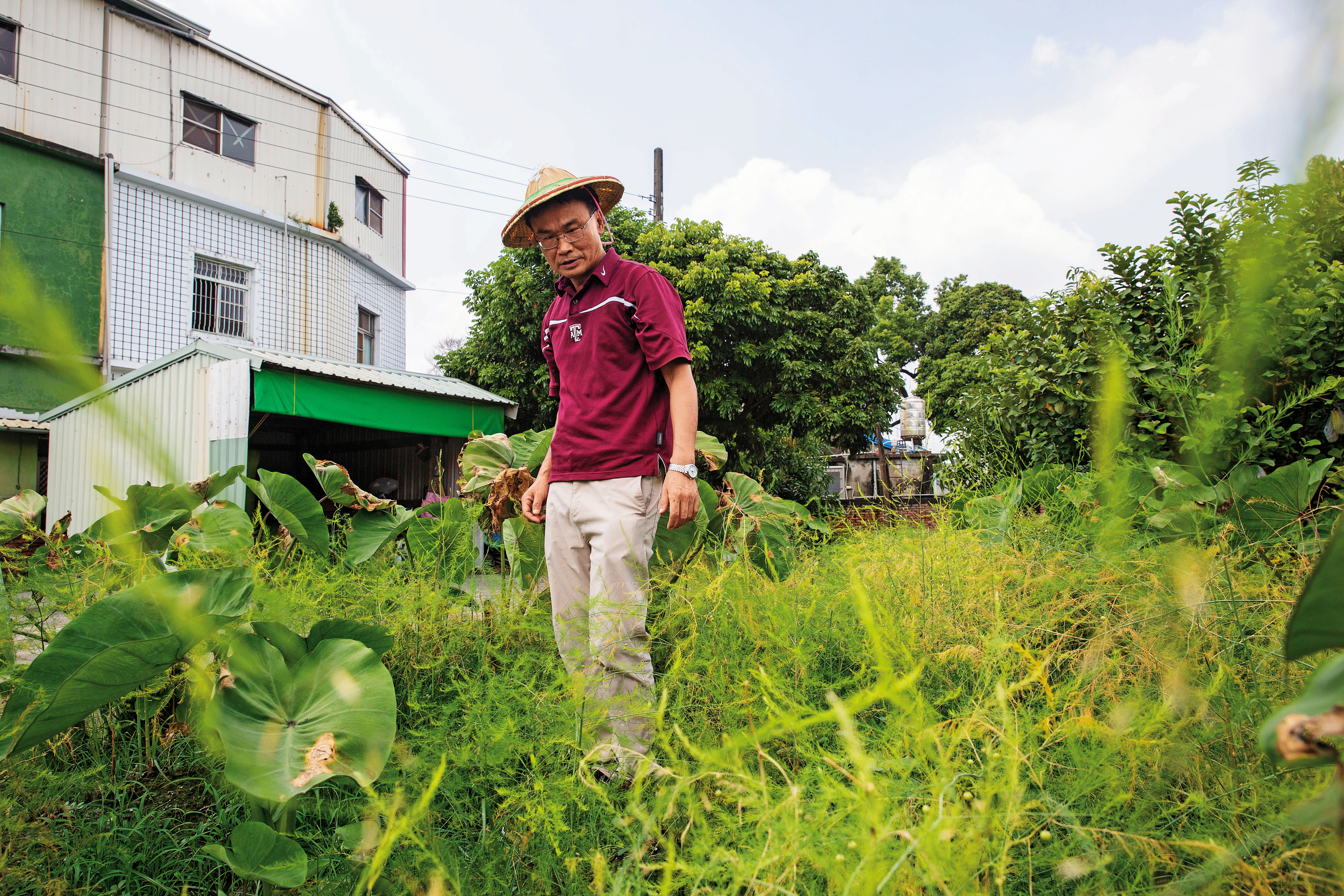 農村子弟出身的背景，讓陳吉仲對農民的困境能夠感同身受。