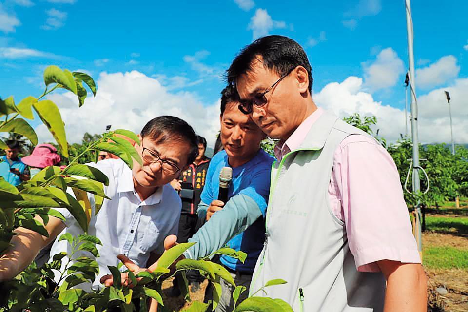 8月底白鹿颱風過後，陳吉仲（右）立刻前往台東勘查香蕉和釋迦的農損災情。（翻攝陳吉仲臉書）