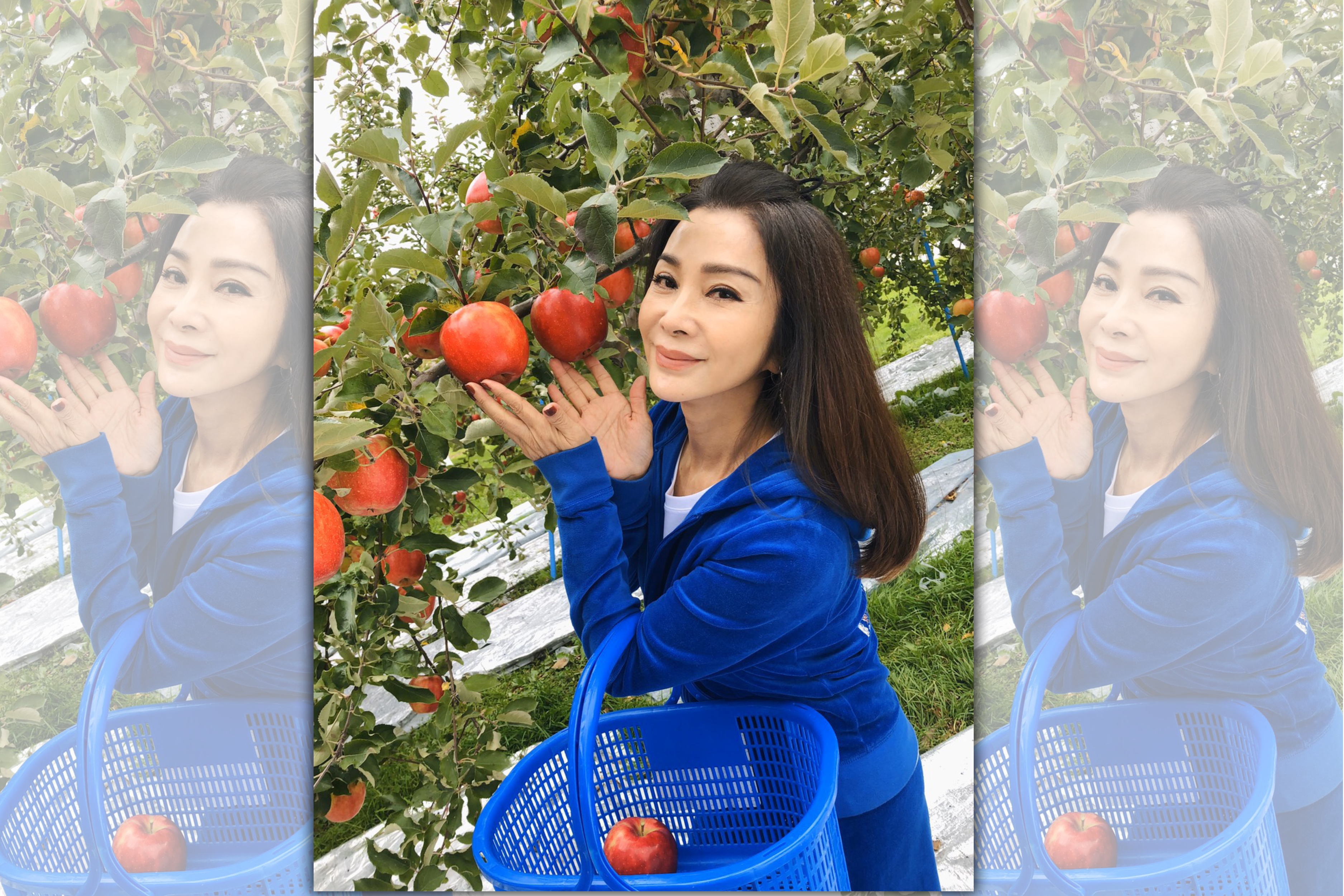 陳美鳳第七次帶領《美鳳有約》來到日本青森，促進觀光的程度讓青森縣縣長頒發感謝狀。（民視提供）