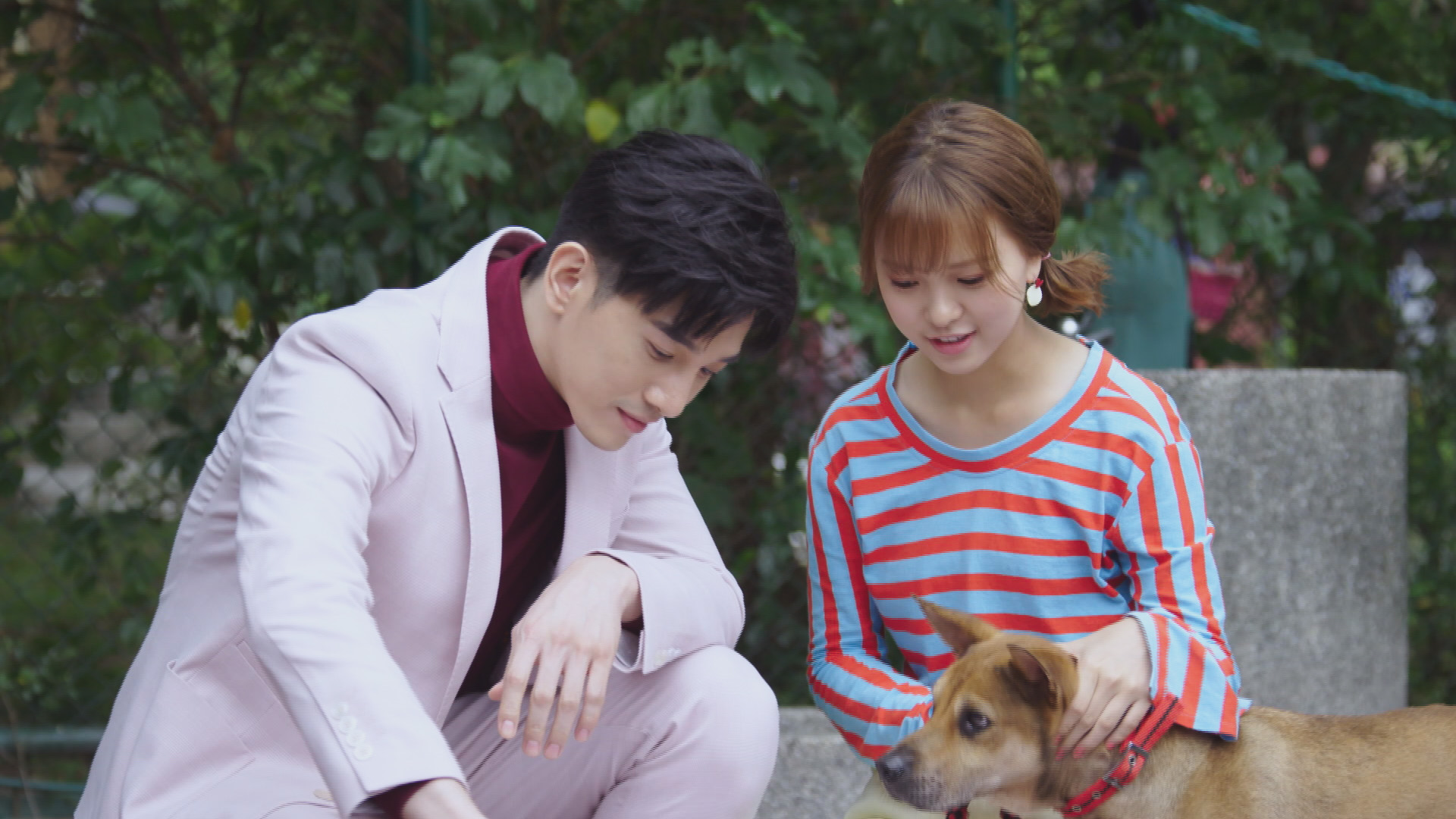 張立昂現身《網紅的瘋狂世界》，開出亮眼收視。（台視提供）