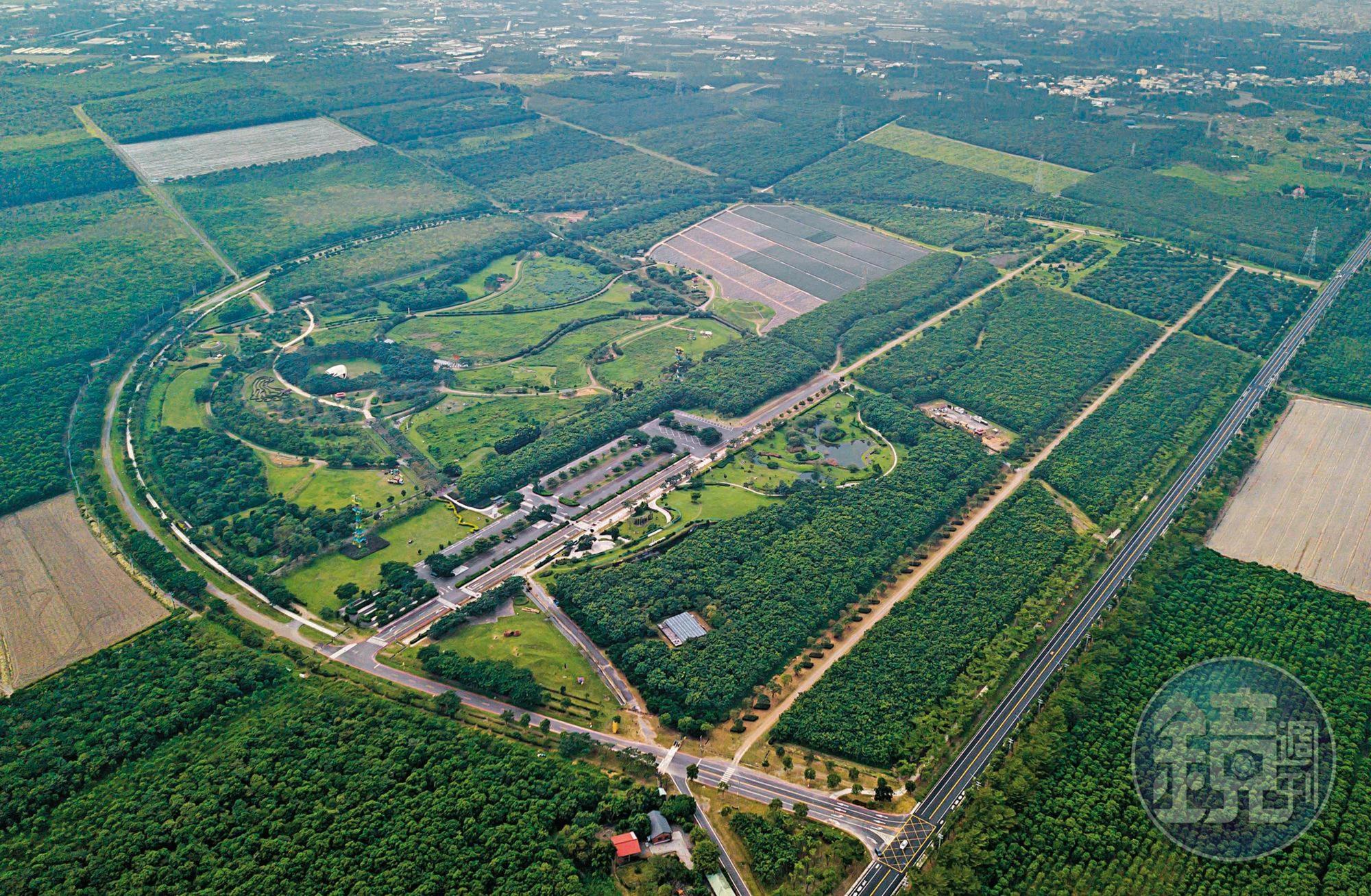 屏東的台糖土地可能成為太陽能電廠用地,未來這片森林可能變成一塊塊的太陽能板。