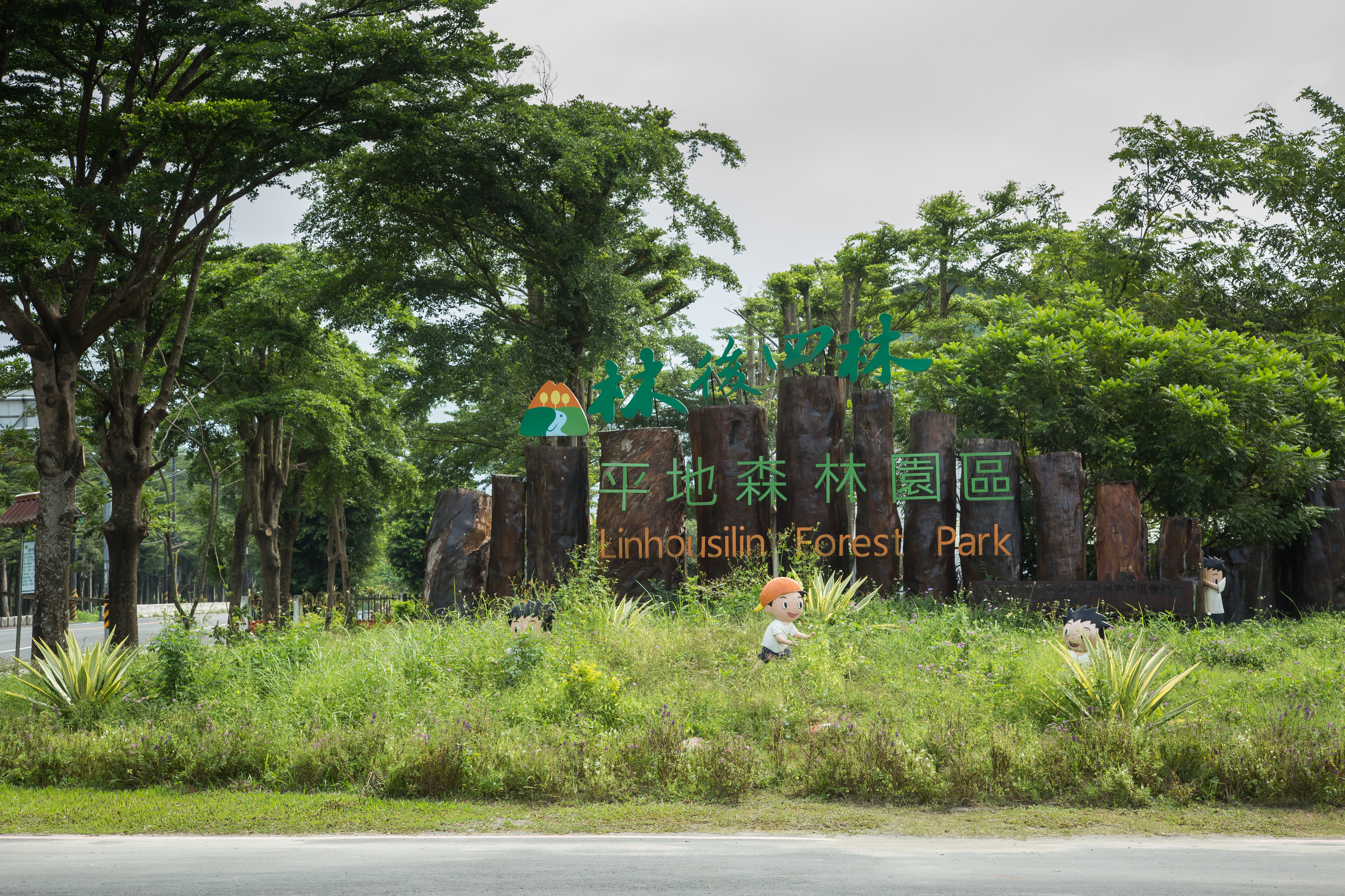 外傳台糖為了供地給台積電，將把潮州鎮林後四林平地森林園區十幾萬棵樹砍光。