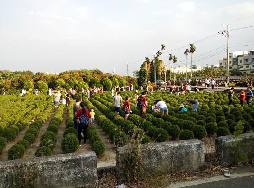 大量人潮湧入田尾「波波草祕境」帶來破壞和髒亂。（翻攝自爆料公社）