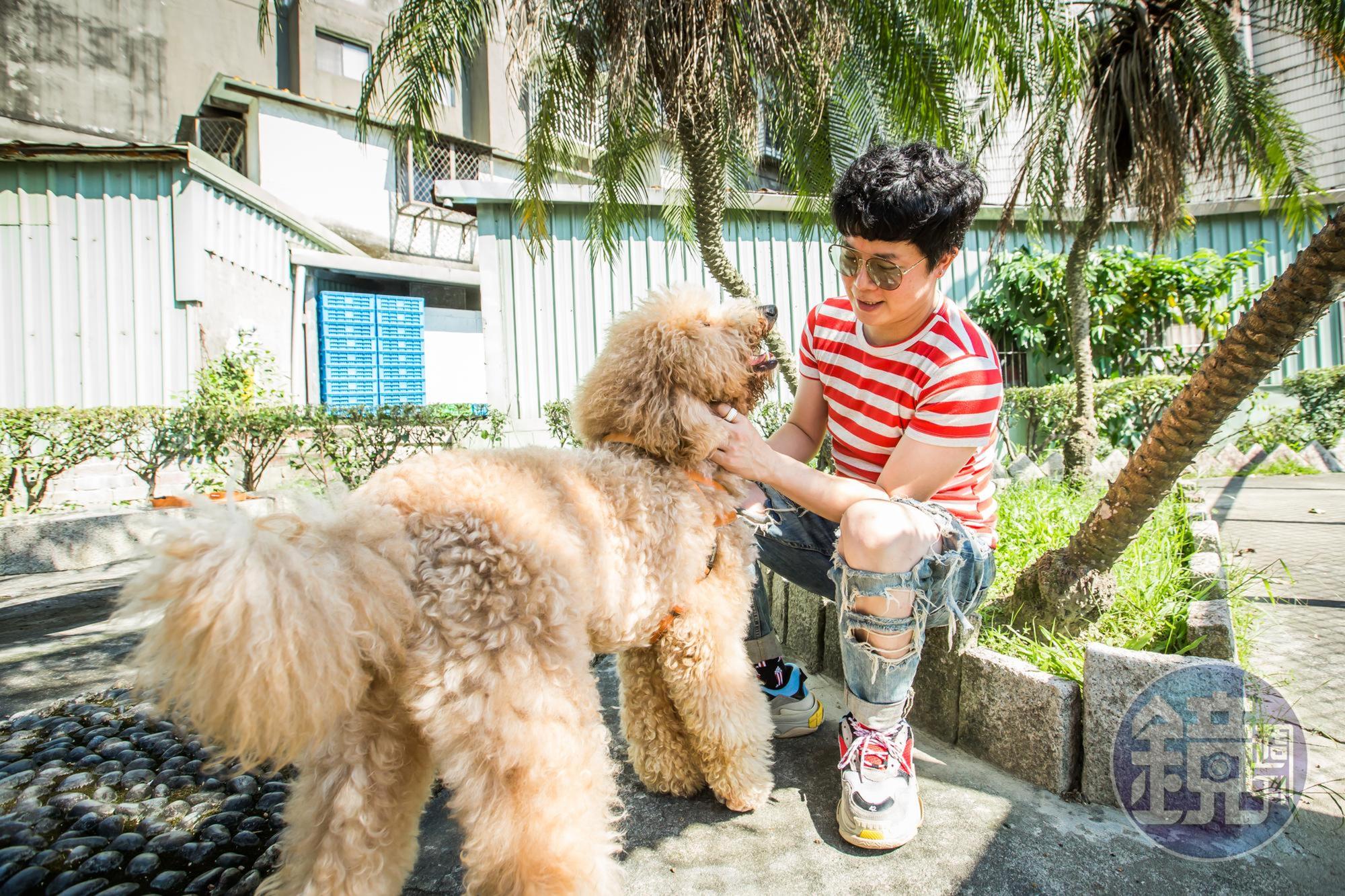 工作再忙的倪良瑋,每天仍會抽空帶愛犬樂樂出門散步、曬太陽。