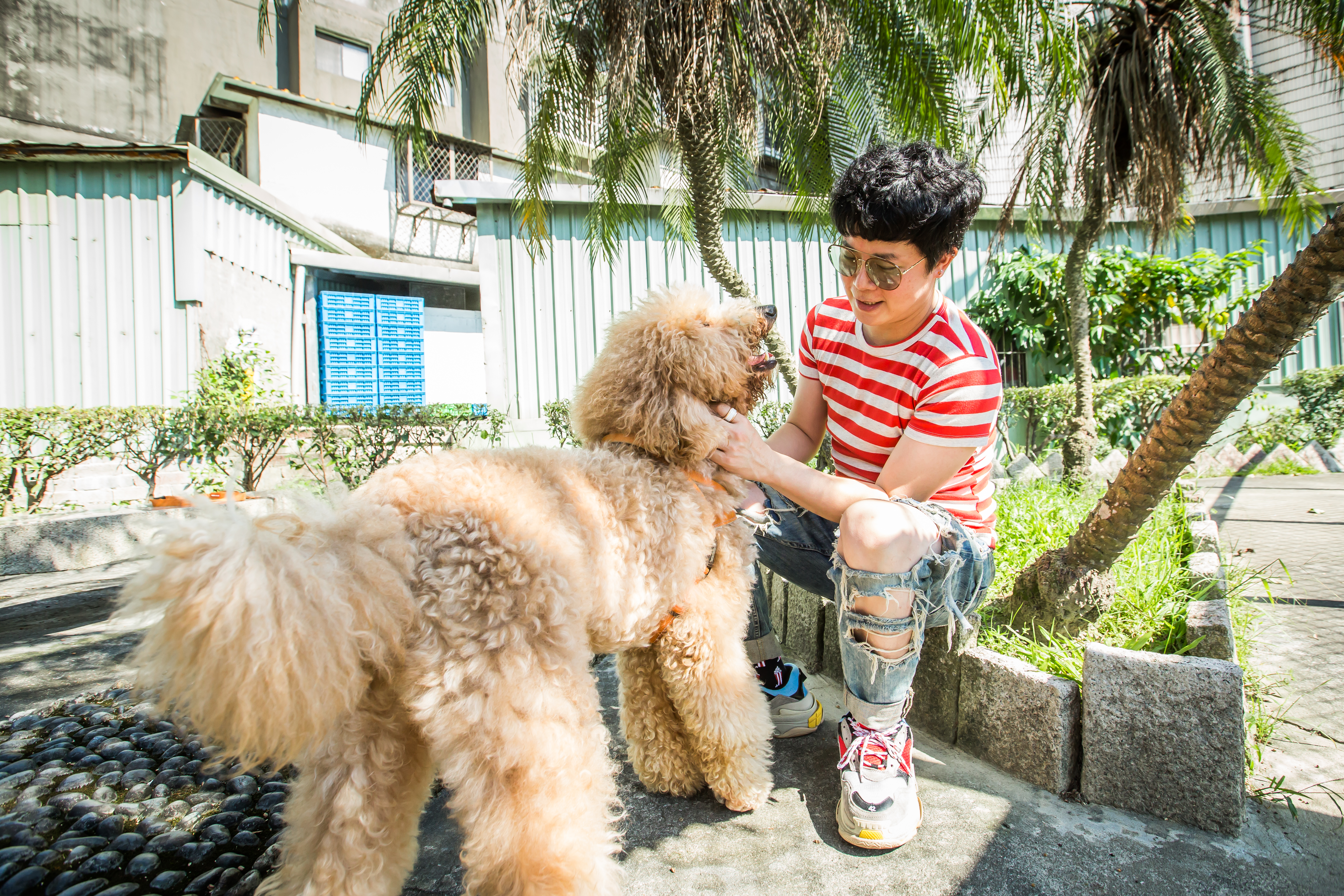 工作再忙的倪良瑋，每天仍會抽空帶愛犬樂樂出門散步、曬太陽。