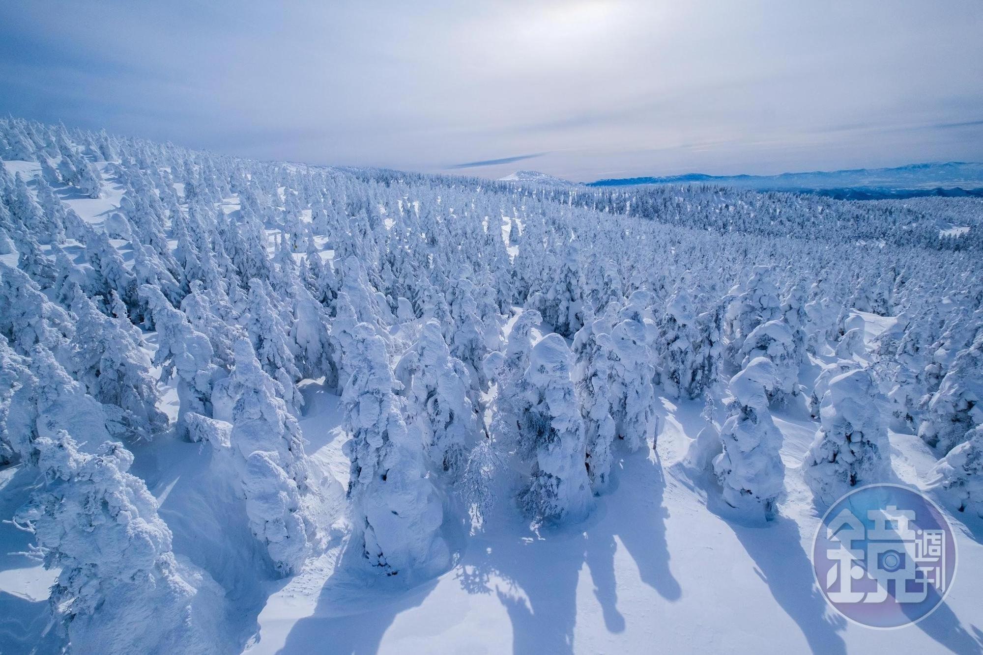 搭上觀景纜車便可以看到樹林上都被大片雪景包住,很壯觀的景象。