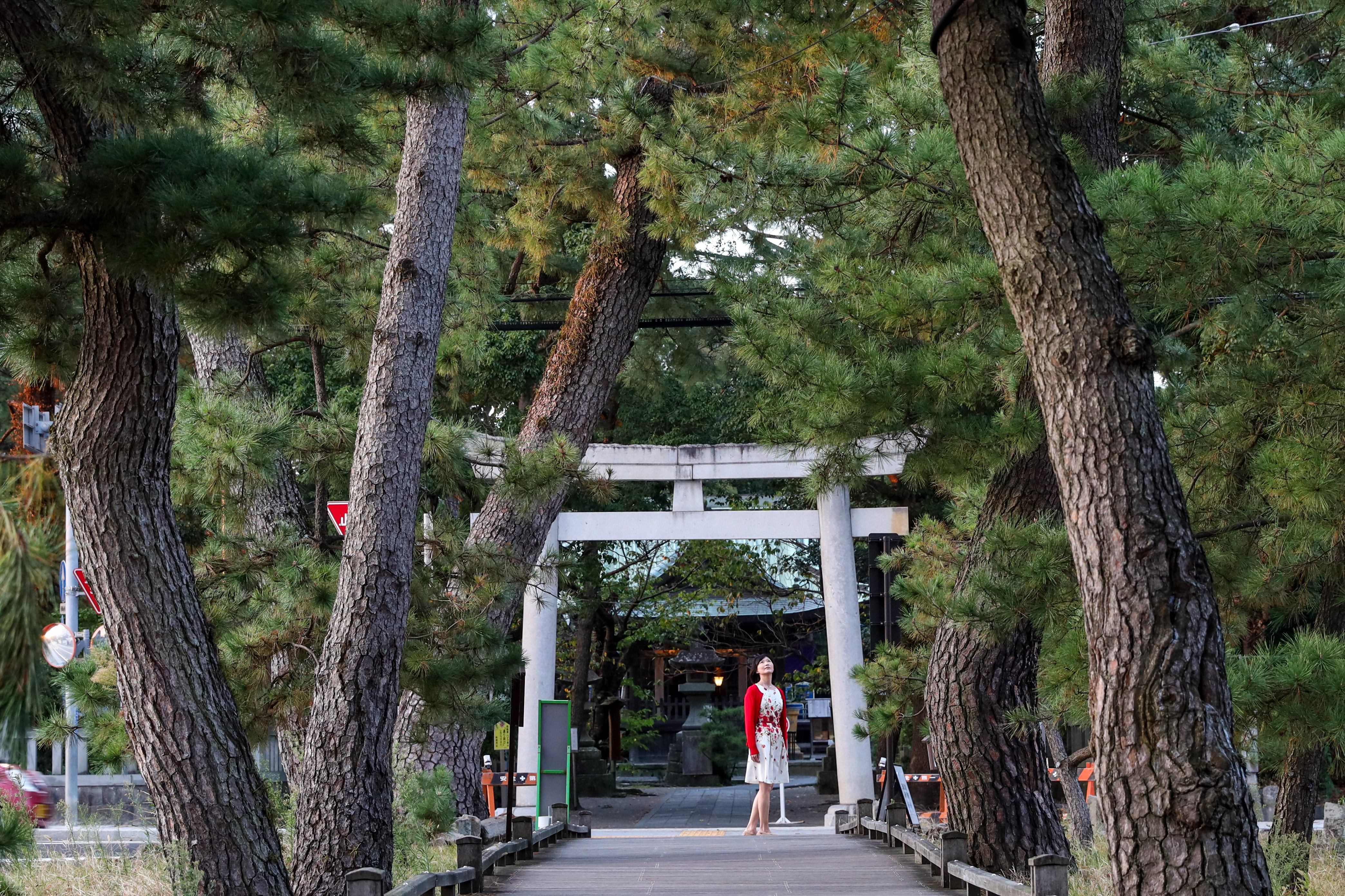 傳說中天女脫下羽衣掛在三保松原的老松樹上，連接羽衣之松與御穗神社的，便是這條500公尺長的「神之道」。