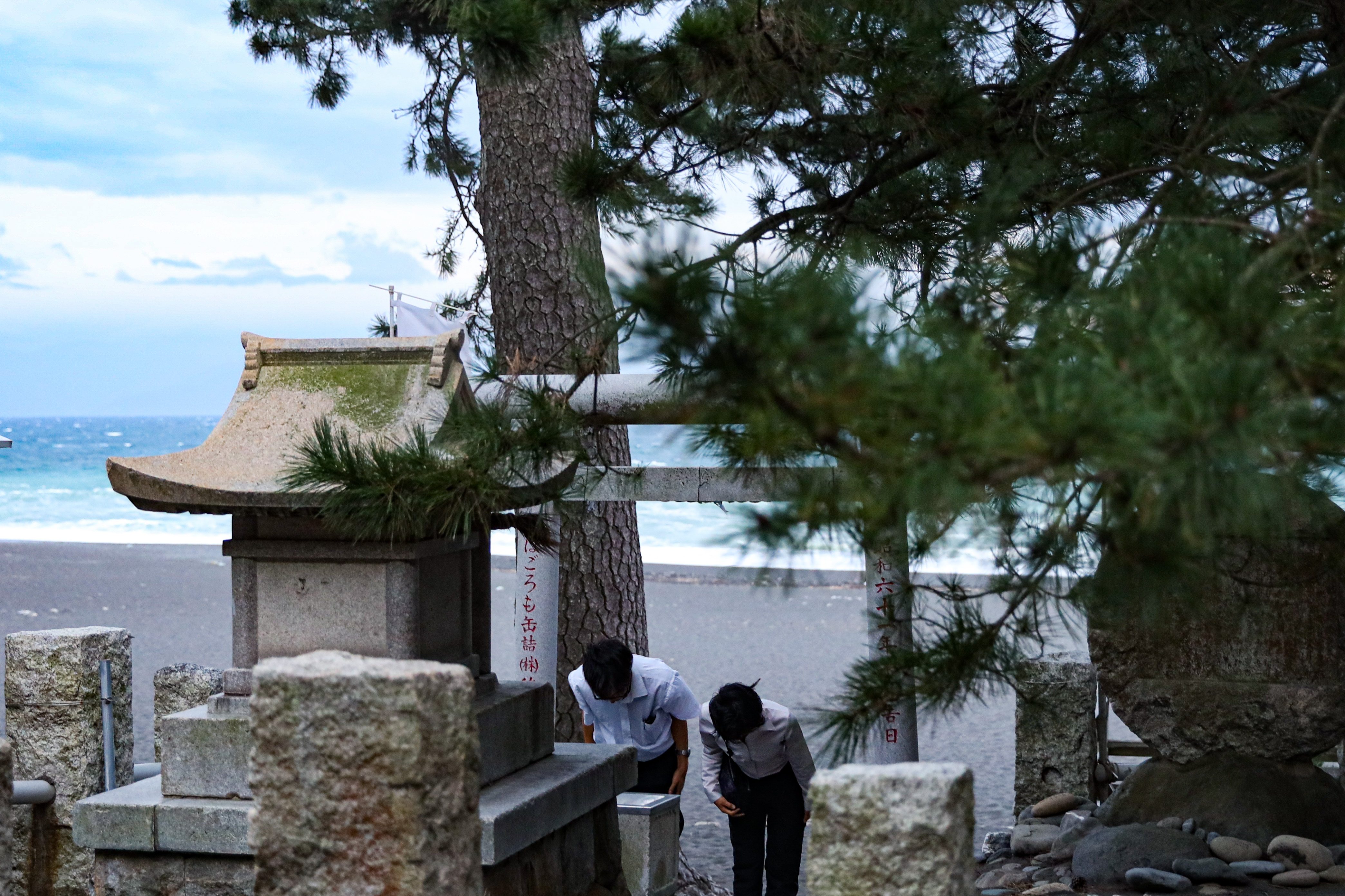 老松旁是御穗神社的離宮「羽車神社」，許多人虔誠參拜。