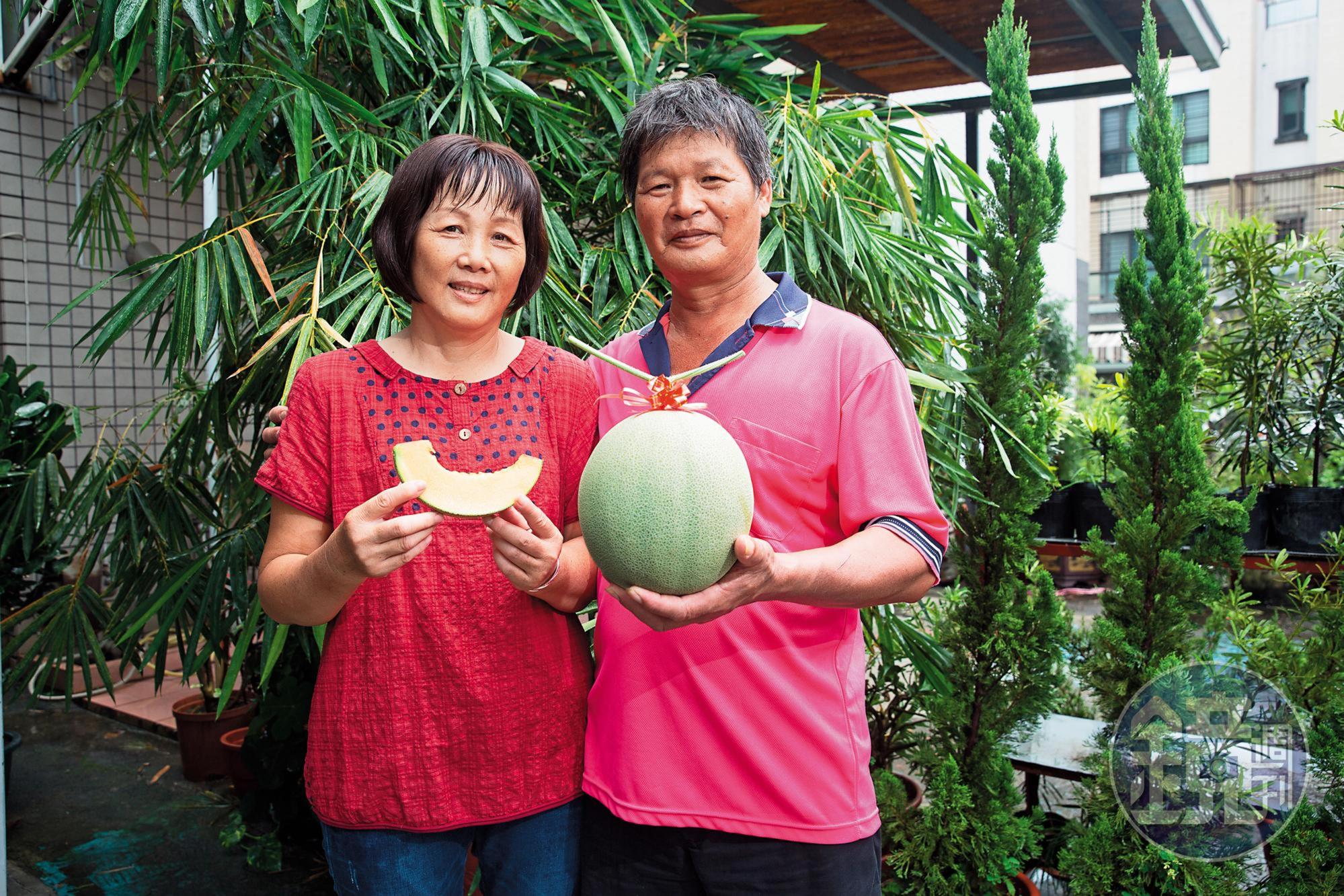 許凰誥夫婦結婚32載，2人辛勤打理哈密瓜果園，終於苦盡甘來。