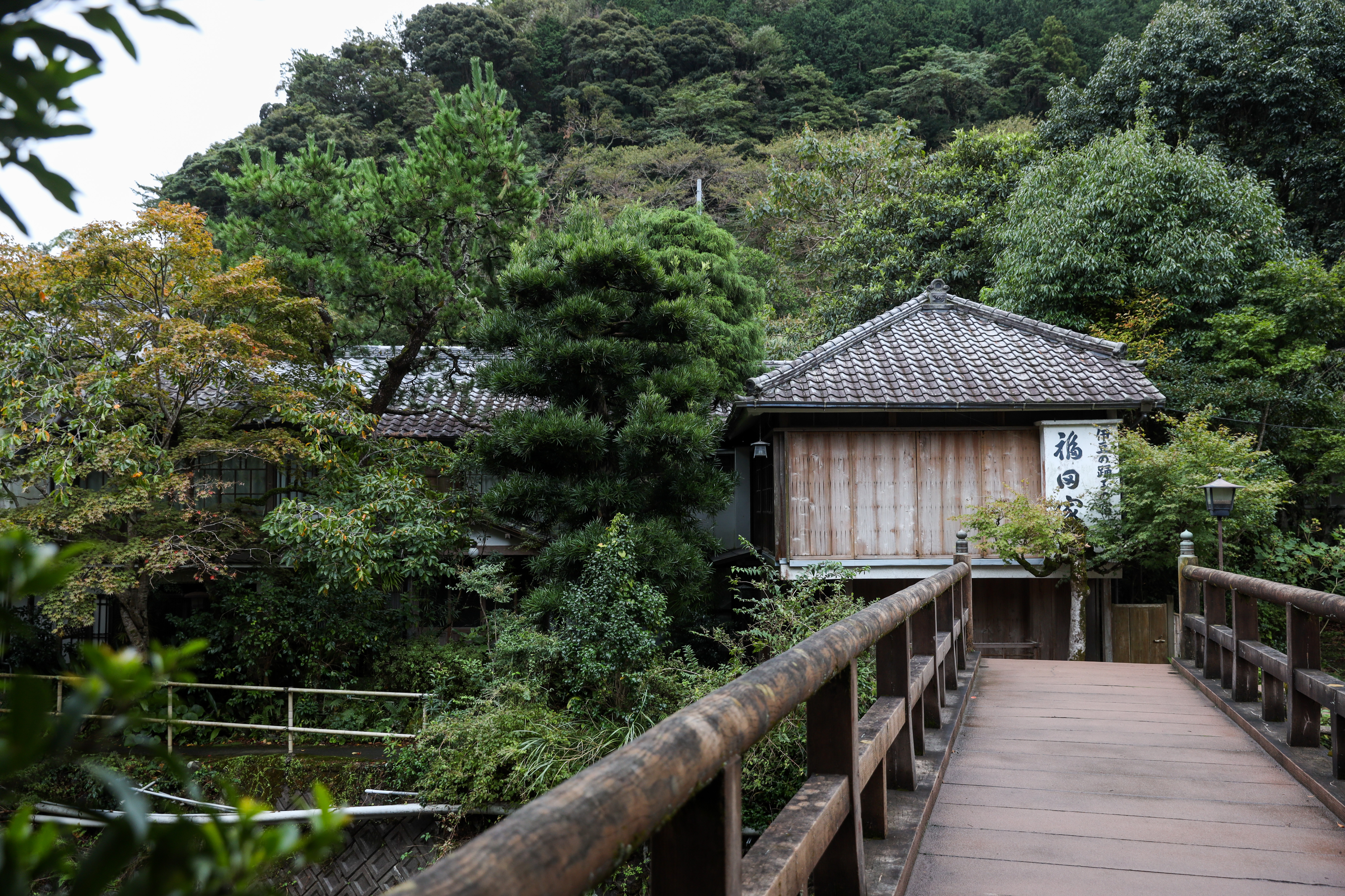 通過這座木橋，便走向川端康成的文學之旅。