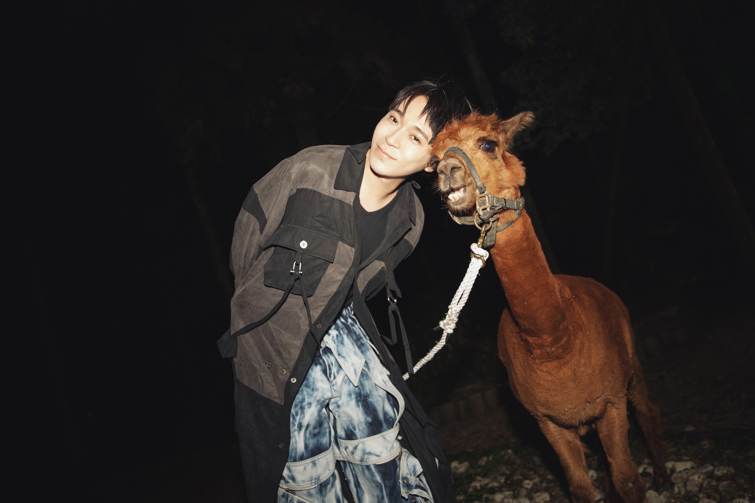 草泥馬妮妮是從南部坐專車北上客串，呆萌可愛的模樣，征服了青峰。（環球音樂）