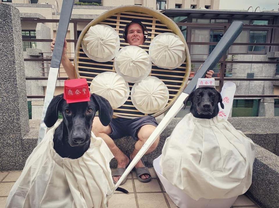 臉書粉絲專頁「Buster是一隻狗」分享萬聖節裝扮，將家中的毛孩化身台灣美食「小籠包」。（翻攝自Buster是一隻狗臉書）