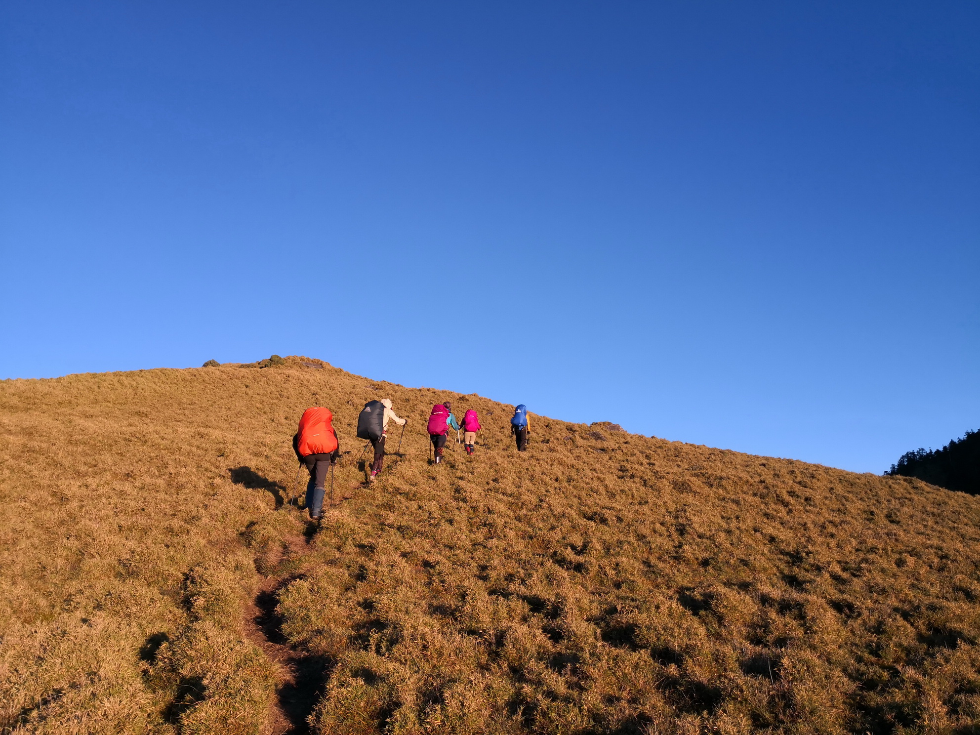 台灣山林之美，吸引無數人嚮往。