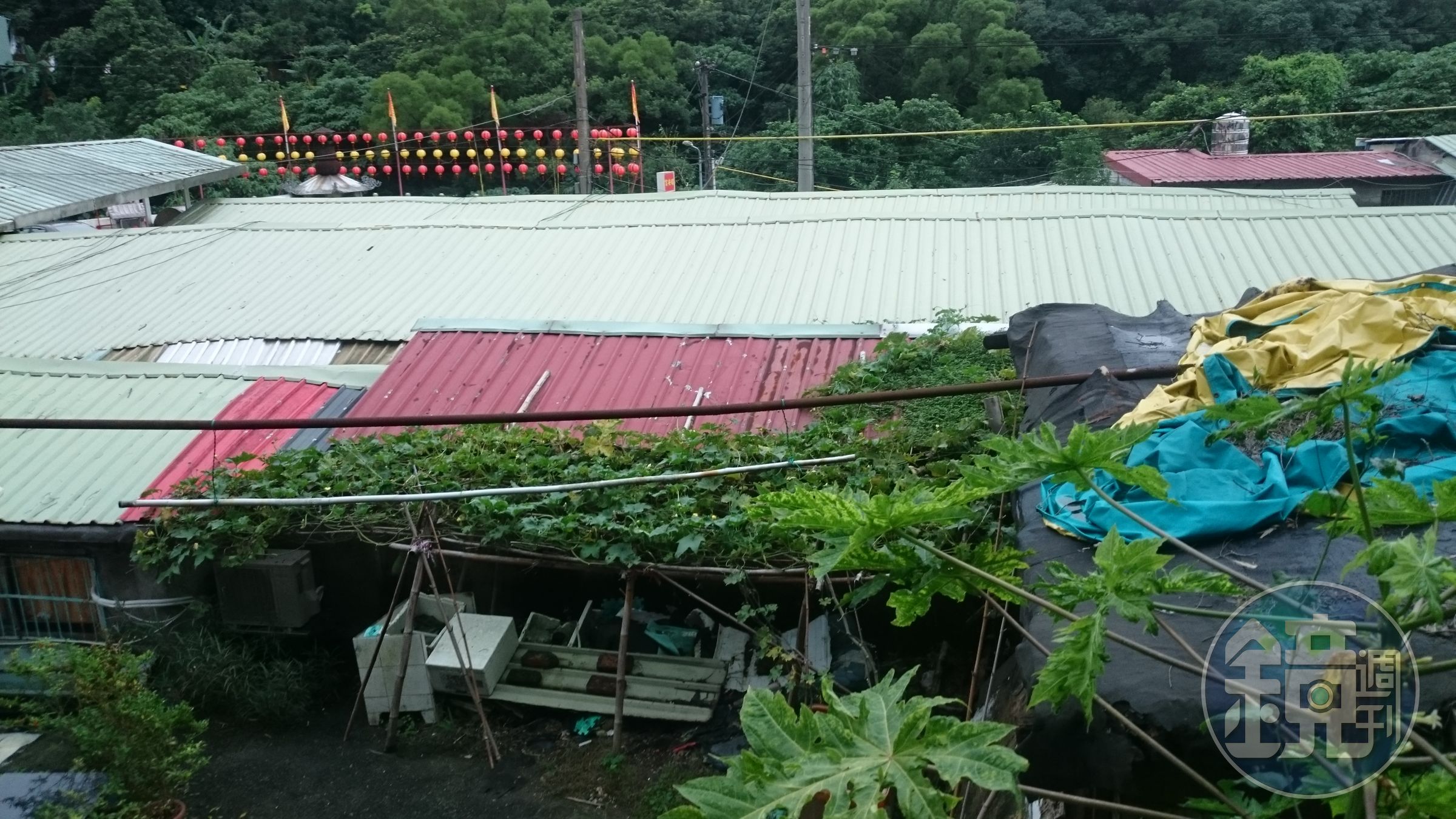 美女檢察官蔡佩玲多年前在桃園地檢署任職時，偵辦一件角頭殺女兒的水泥封屍命案，夢境中不斷出現的鐵皮屋，最後竟是埋屍地點。(圖為鐵皮屋示意圖，非案發地點)