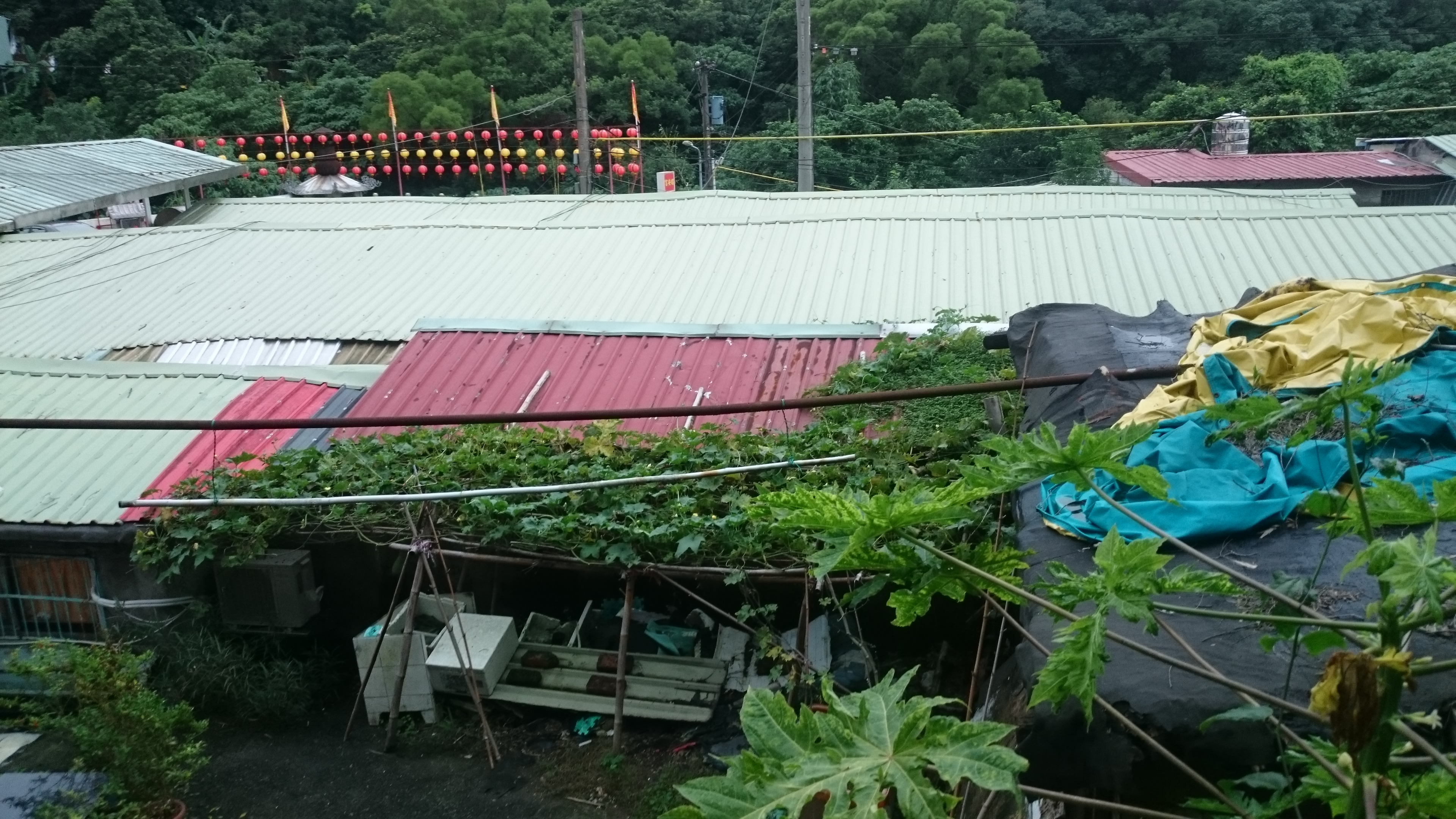 美女檢察官蔡佩玲多年前在桃園地檢署任職時，偵辦一件角頭殺女兒的水泥封屍命案，夢境中不斷出現的鐵皮屋，最後竟是埋屍地點。(圖為鐵皮屋示意圖，非案發地點)