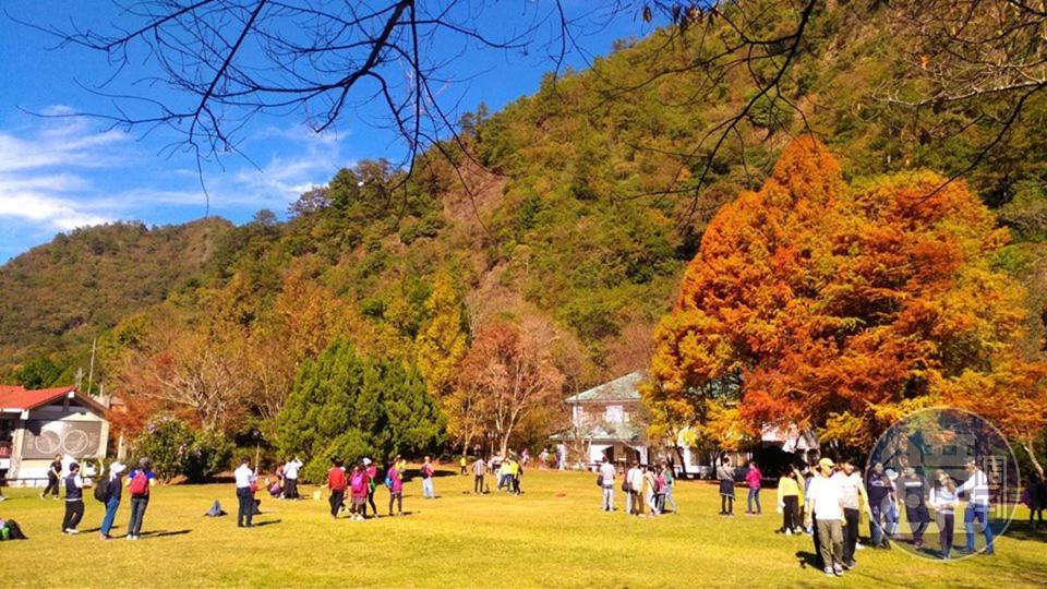 奧萬大國家森林遊樂區的楓紅，具有層次感。（圖為去年資料照／奧萬大國家森林遊樂區提供）