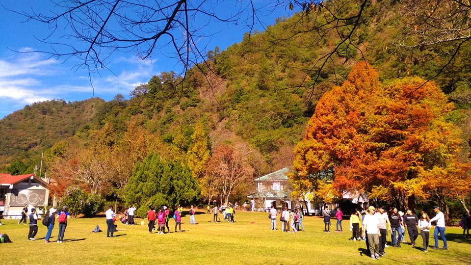 奧萬大國家森林遊樂區的楓紅，具有層次感。（圖為去年資料照／奧萬大國家森林遊樂區提供）