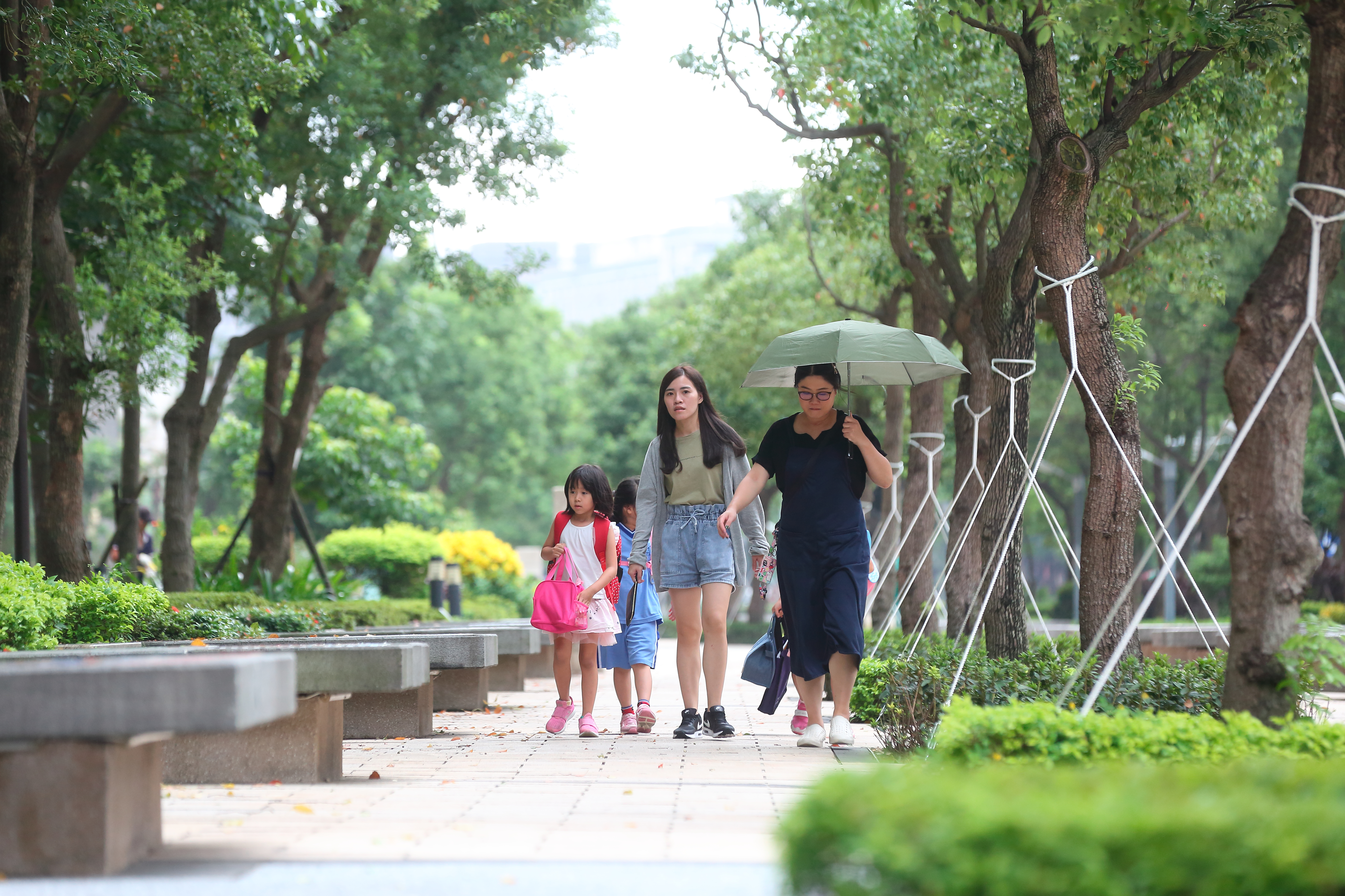 北大特區的平均房屋單價落在3字頭，街道整齊、生活機能完備，吸引退休族及首購族買進。