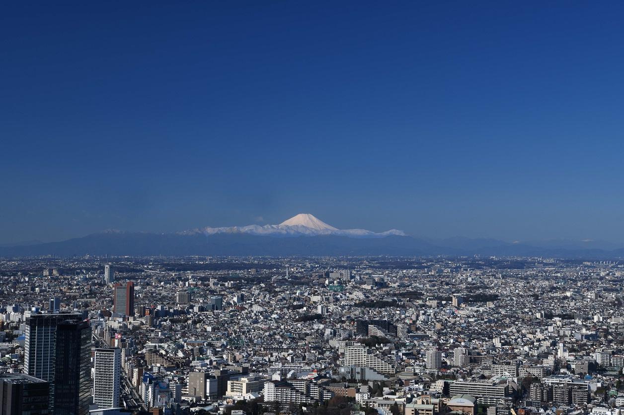 東京澀谷新地標、最高露天展望台「Shibuya Sky」擁有遼闊的開放視野。（Shibuya Sky提供）