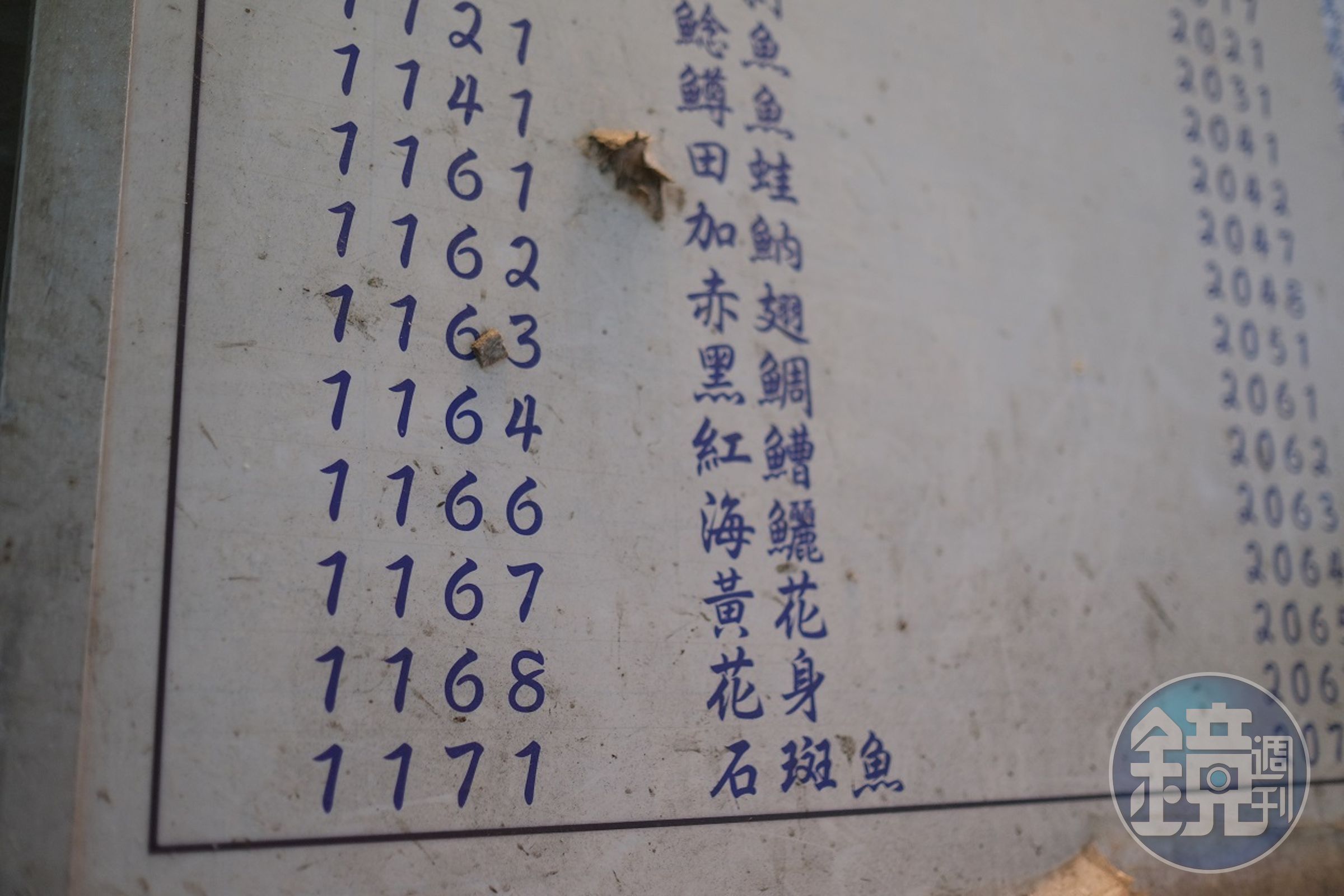 市場的牆壁上貼滿數百種魚種編號，這兒以編號認魚。