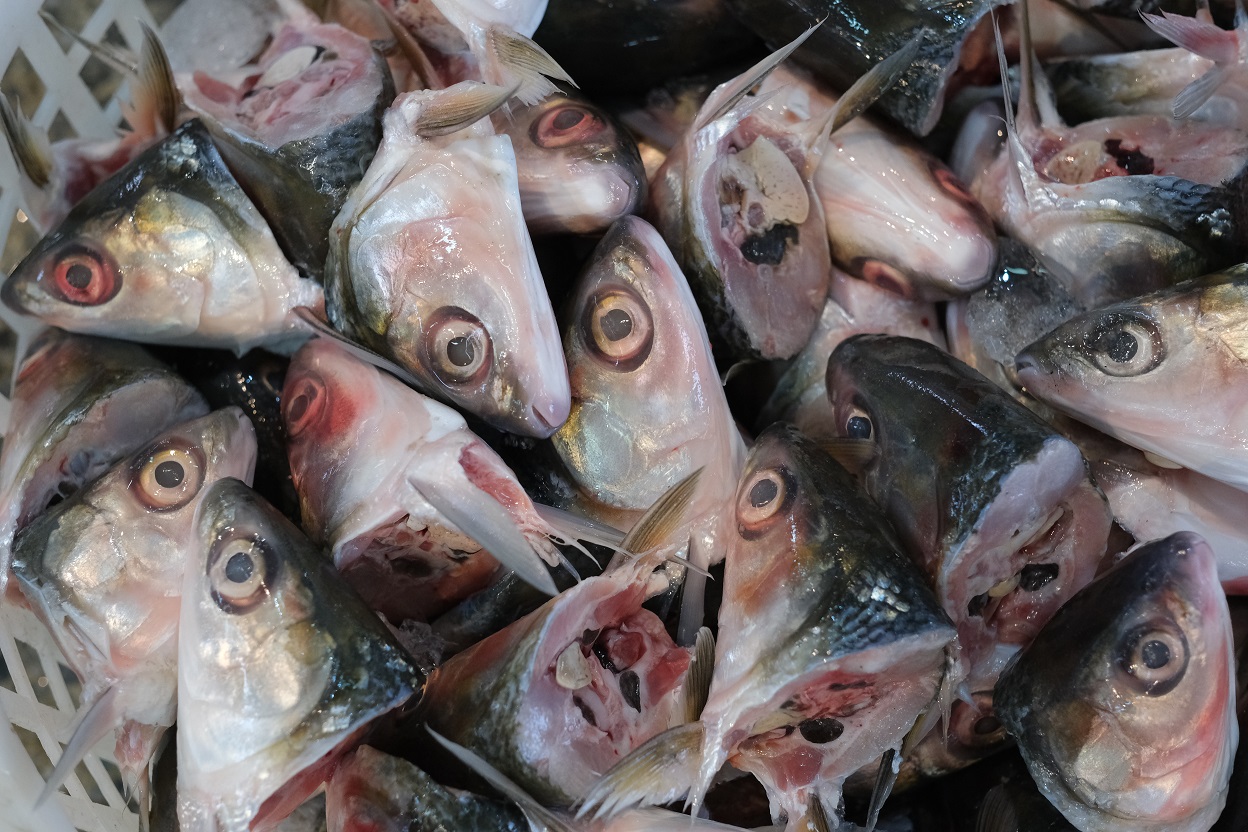 虱目魚有分成頭、身、或全尾賣。