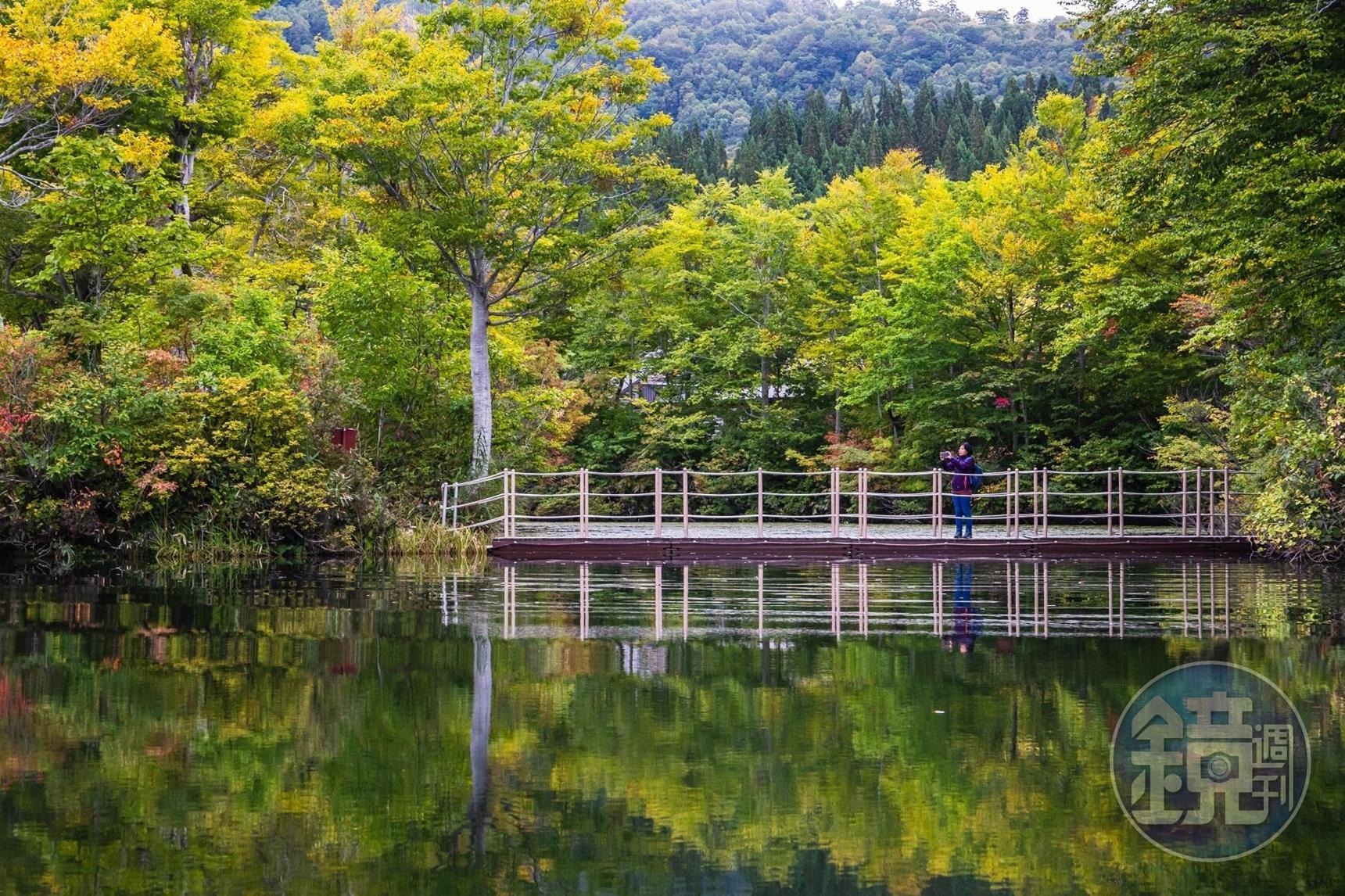 位在日本山形月山附近的「地藏沼」，秋天山色倒映水面，形成迷人風景畫。