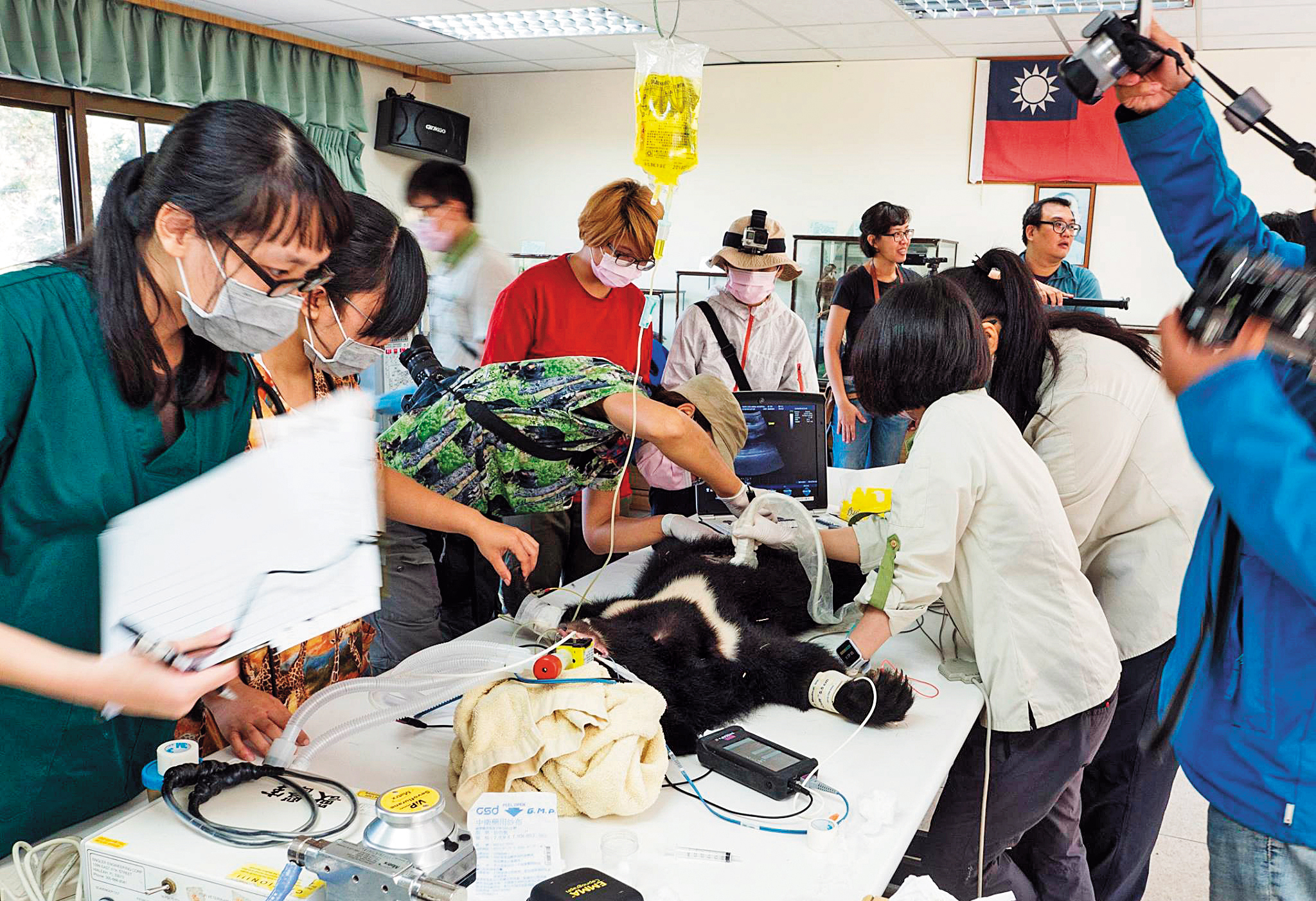 黑熊協會在保育工作上的成果獲各界肯定，但未料內部卻長期暗藏性騷醜聞。圖中皆非當事人。（翻攝台灣黑熊保育協會）