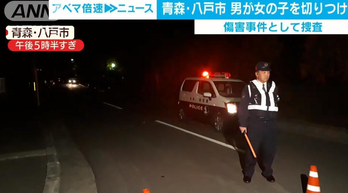 日本小六女童遭14歲少年持美工刀襲擊，其犯案動機及過程有待調查。（翻攝自Youtube）