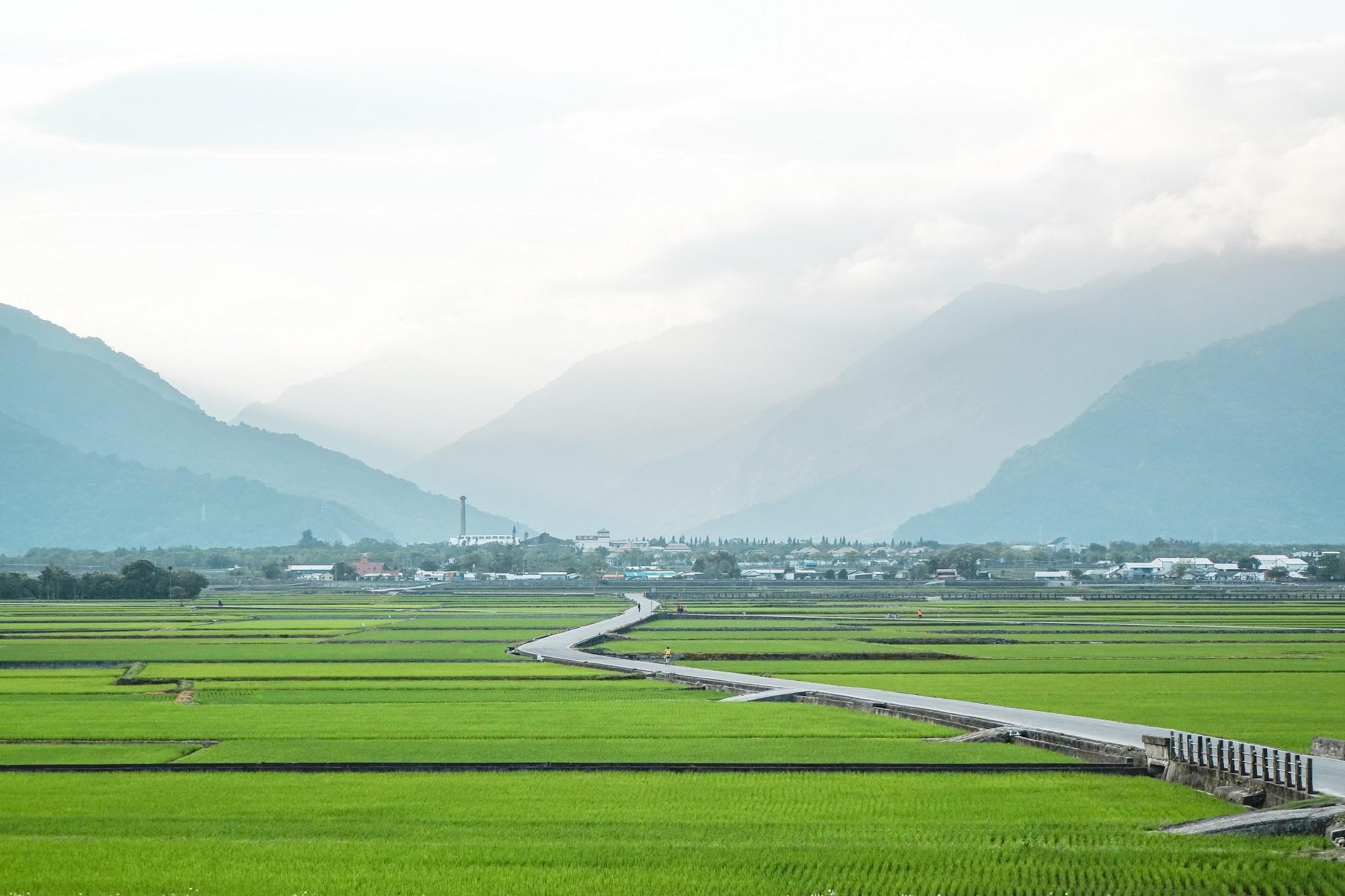 台灣各地農村都面臨都市化及炒作土地等問題，像台東池上這般好山好水的環境不多見。（公視提供）