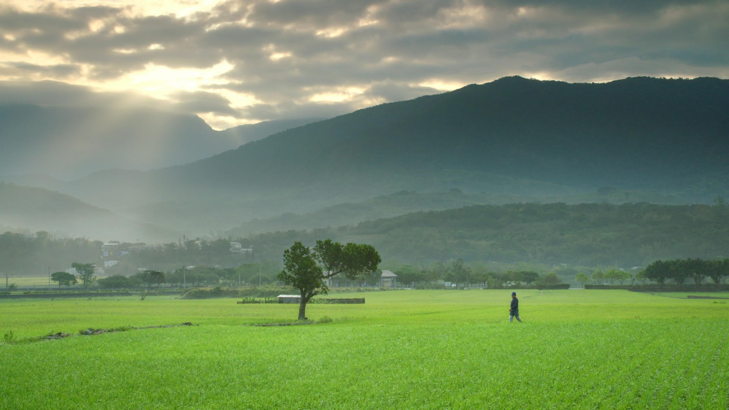 系列紀錄片《農村的遠見》最後一集走訪台東池上鄉，當地美景相當引人入勝。（公視提供）