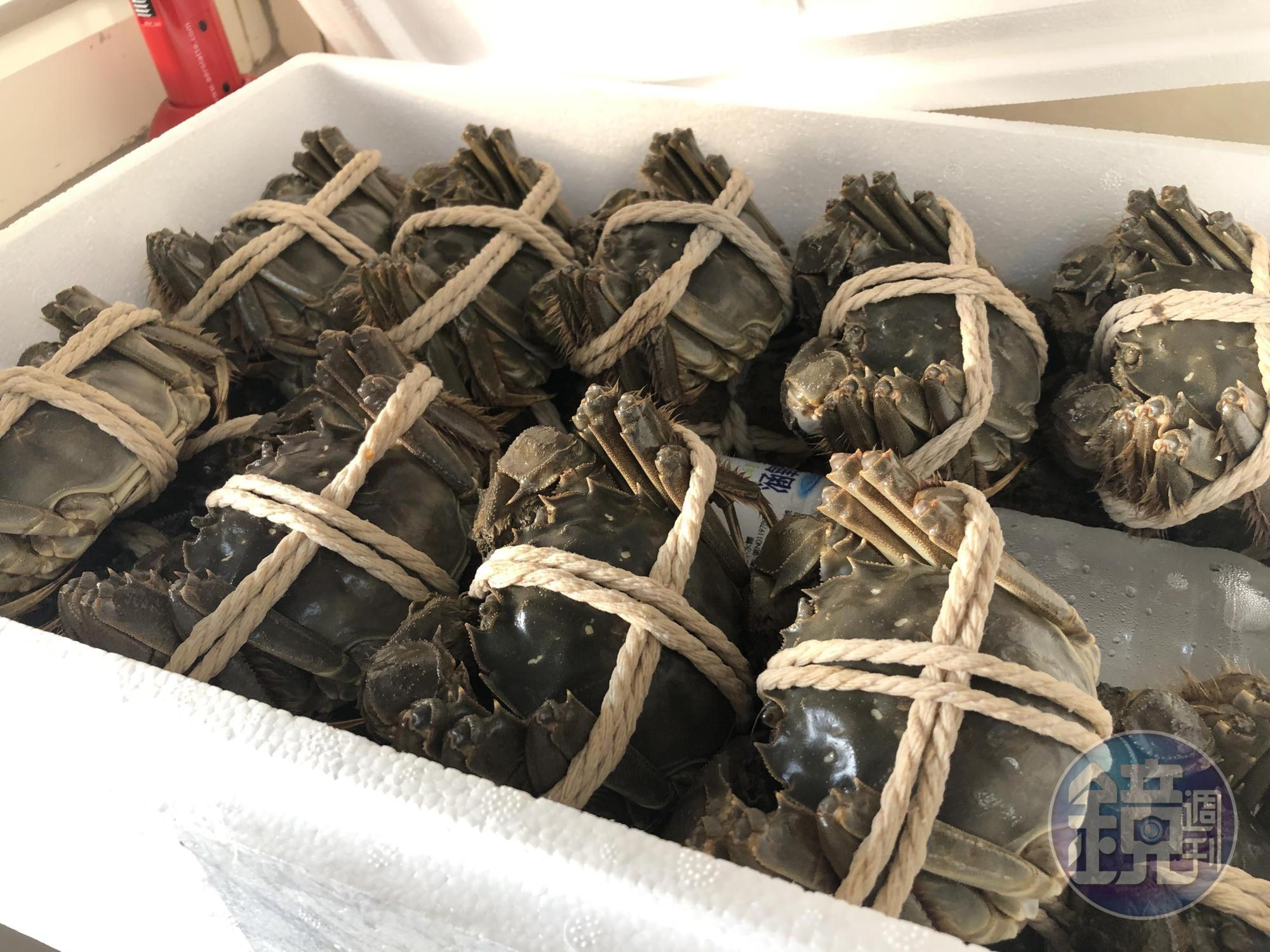 今年華姐先以6兩的蘇北興化蟹應市，讓饕客能解一點饞。